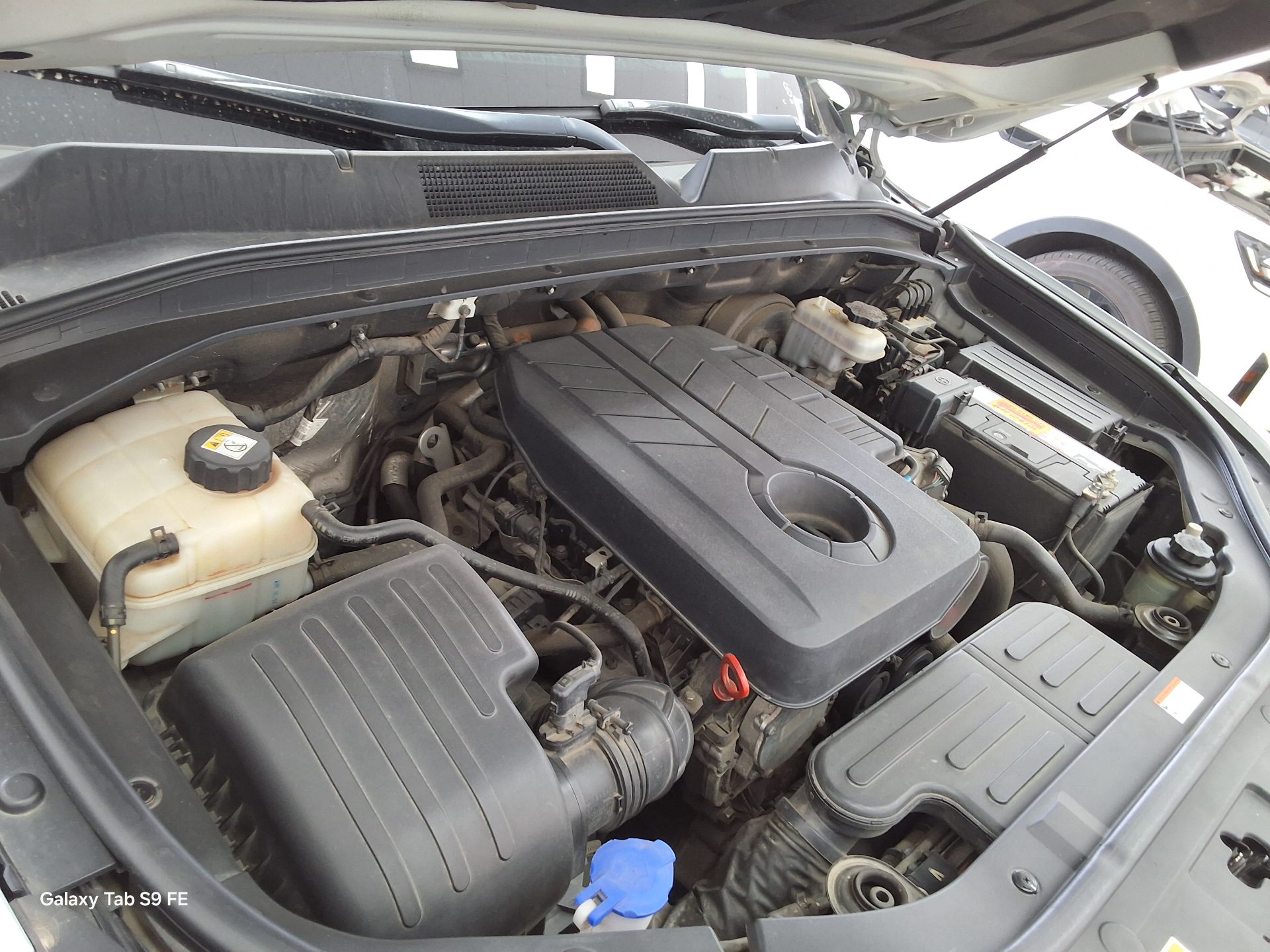 쌍용자동차 렉스턴 스포츠 2019 - 이미지 19