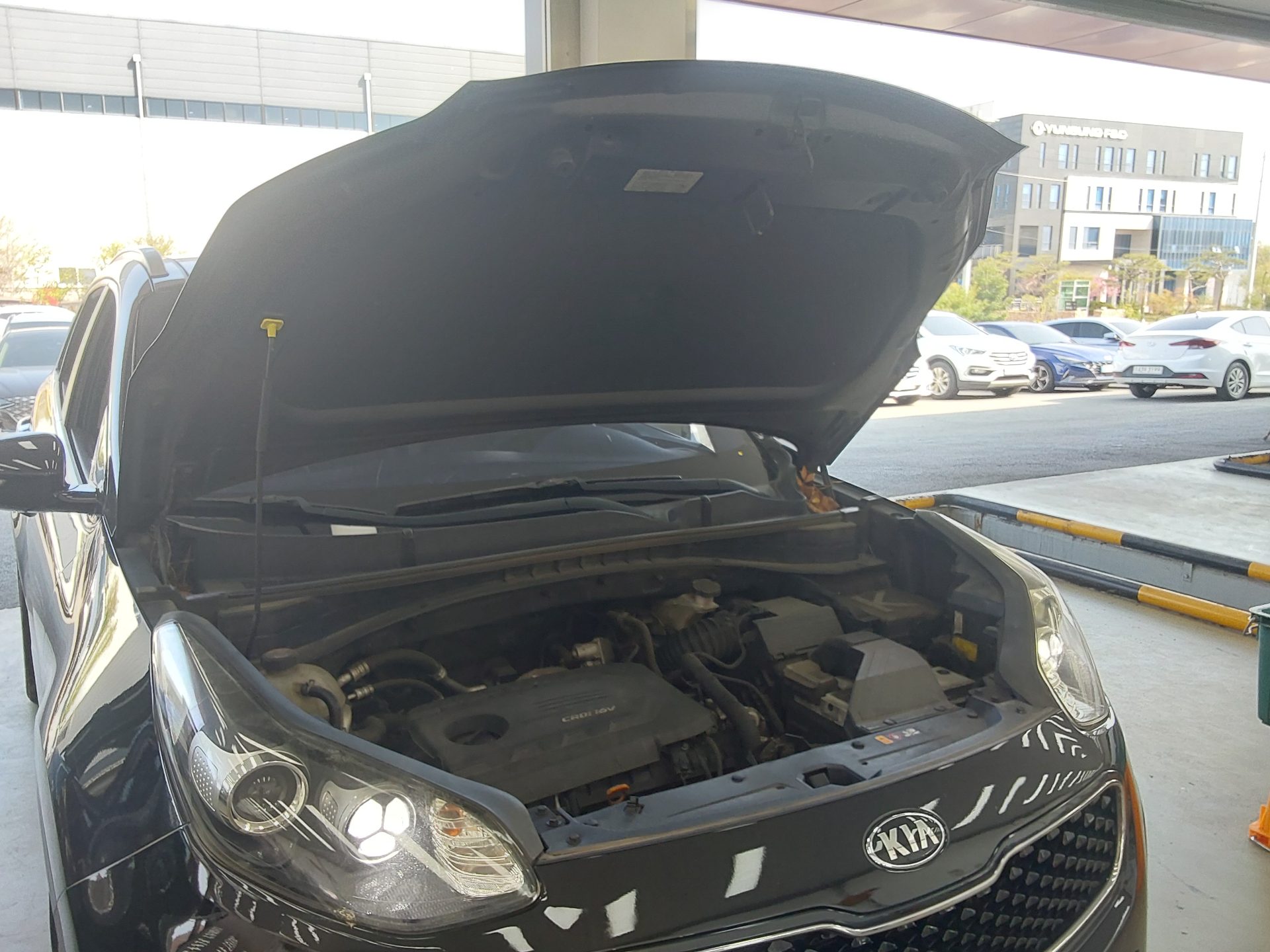 كيا سبورتاج 2016 - صورة 19