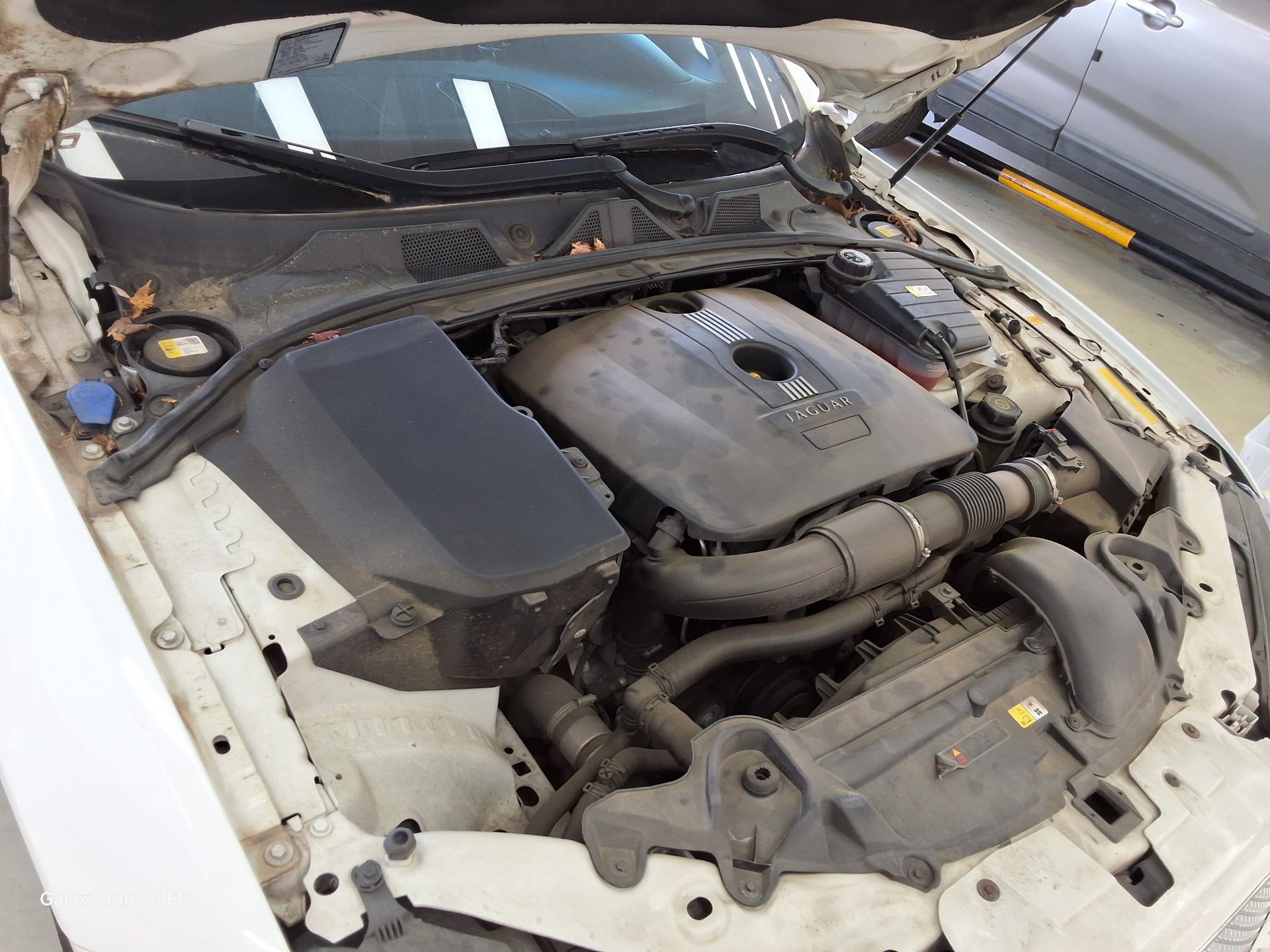 JAGUAR 재규어 2013 - 이미지 21