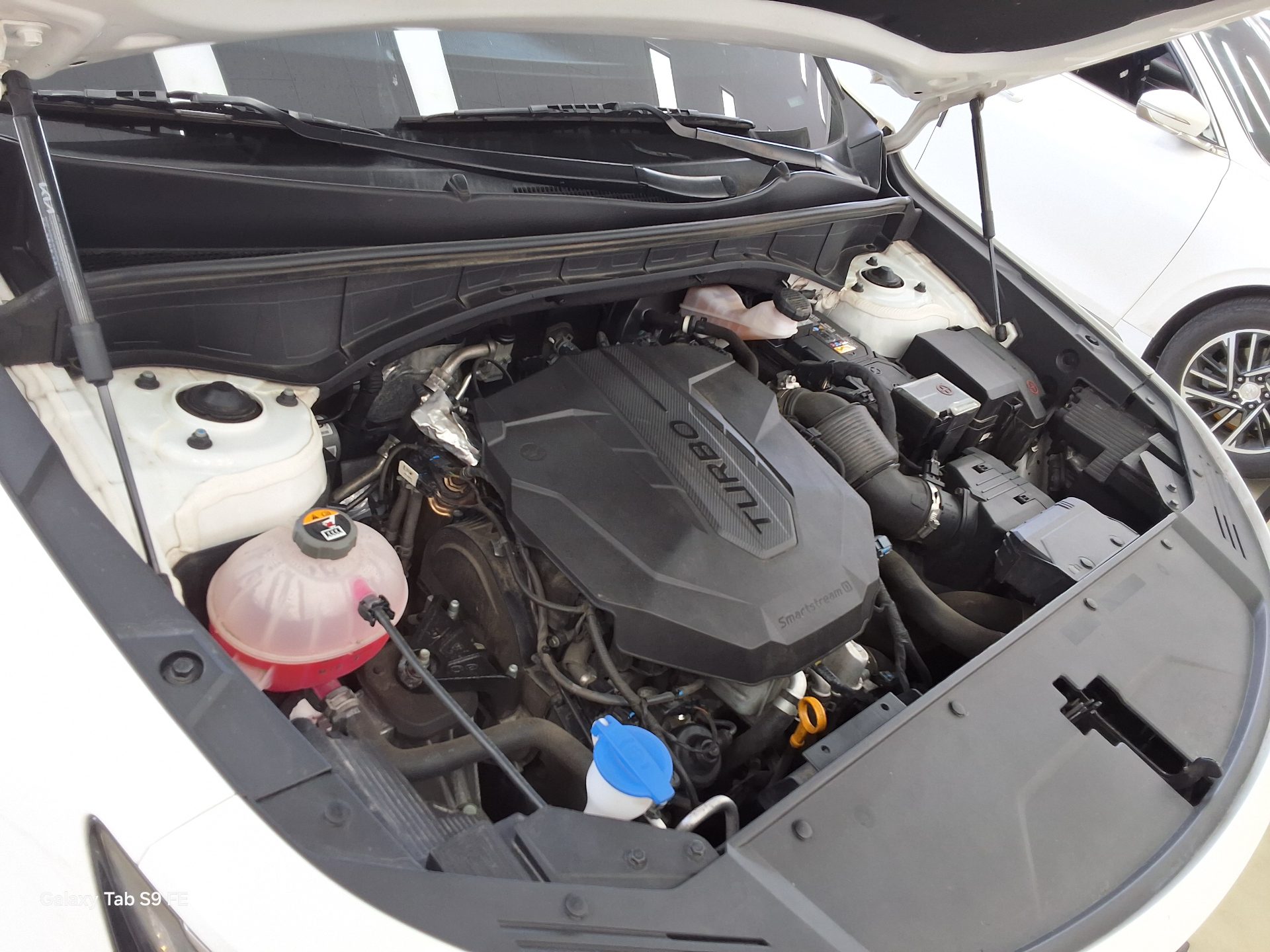 Kia Other 2023 - Image 19