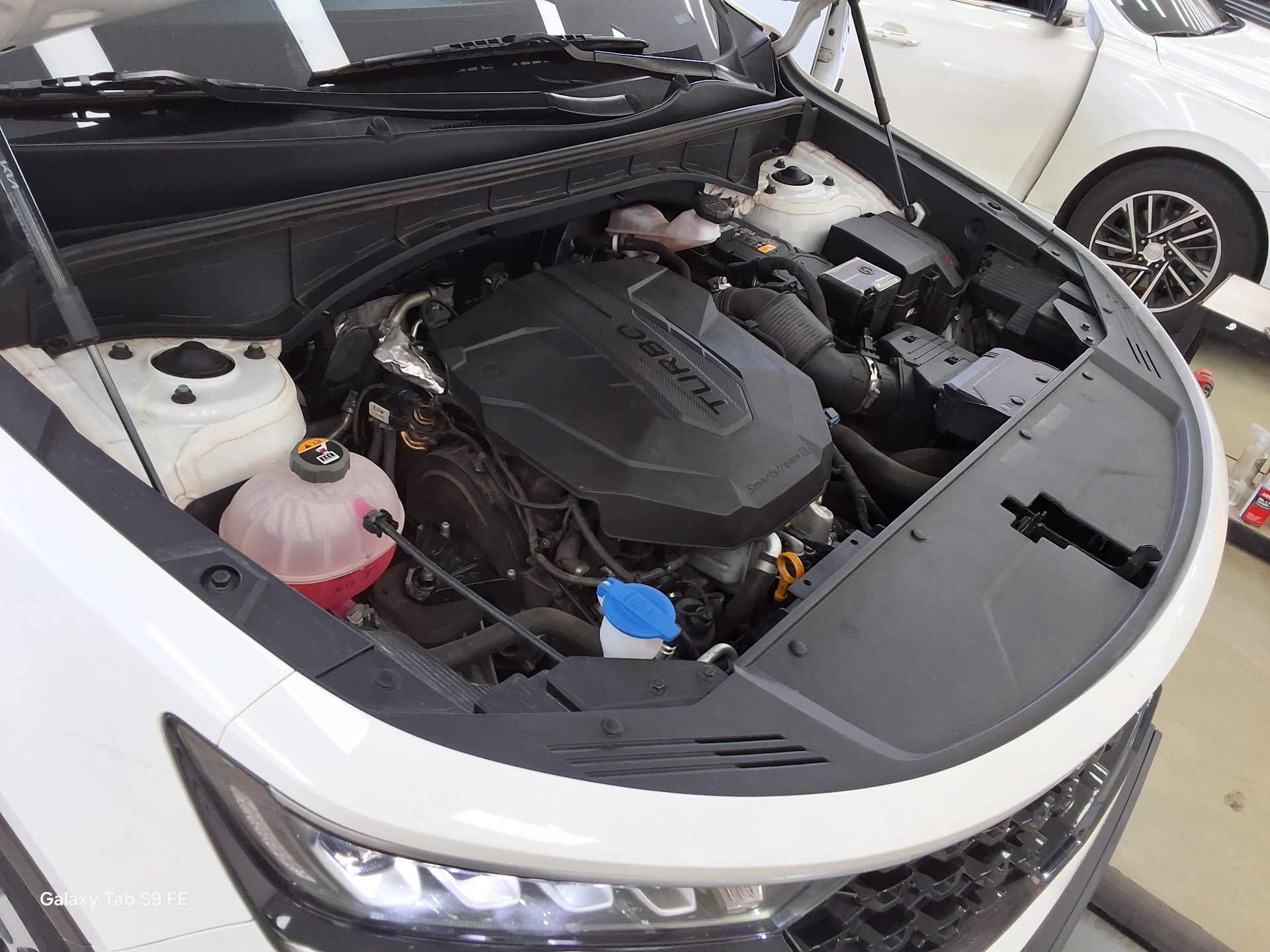 Kia Other 2023 - Image 20