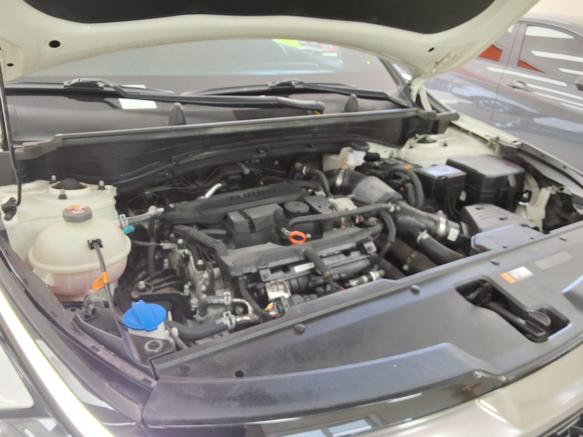 기아자동차 기타 2022 - 이미지 18