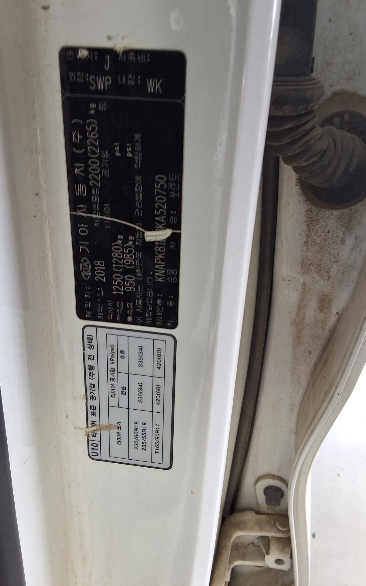 رينو سامسونج ماستر 2019 - صورة 15