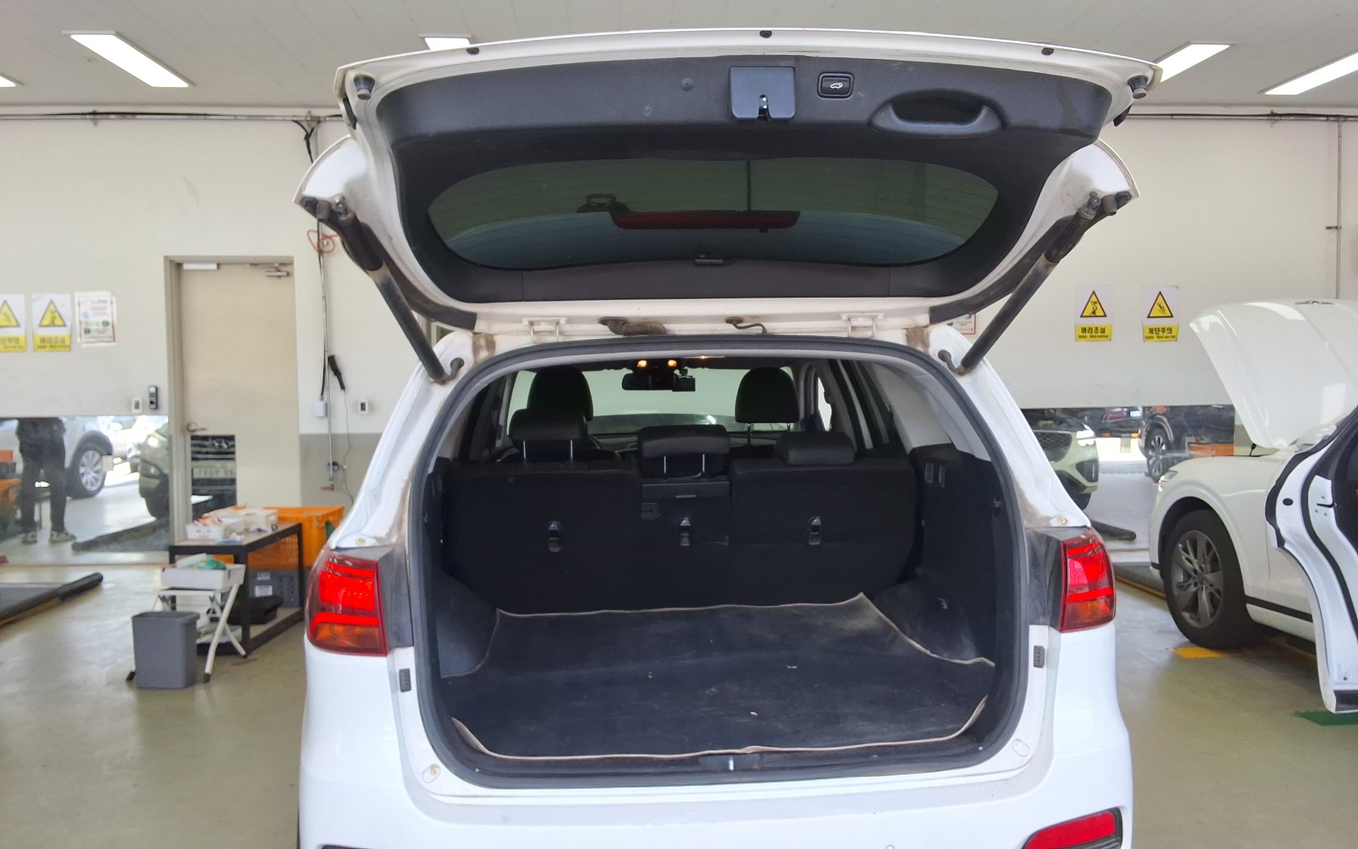 رينو سامسونج ماستر 2019 - صورة 14