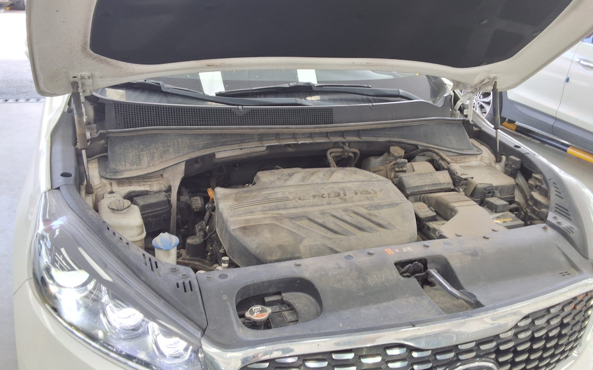 رينو سامسونج ماستر 2019 - صورة 21