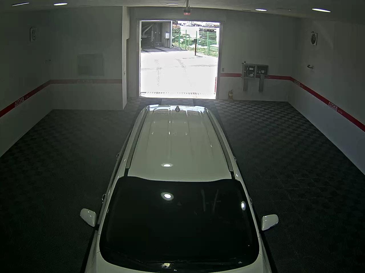 رينو سامسونج ماستر 2019 - صورة 6