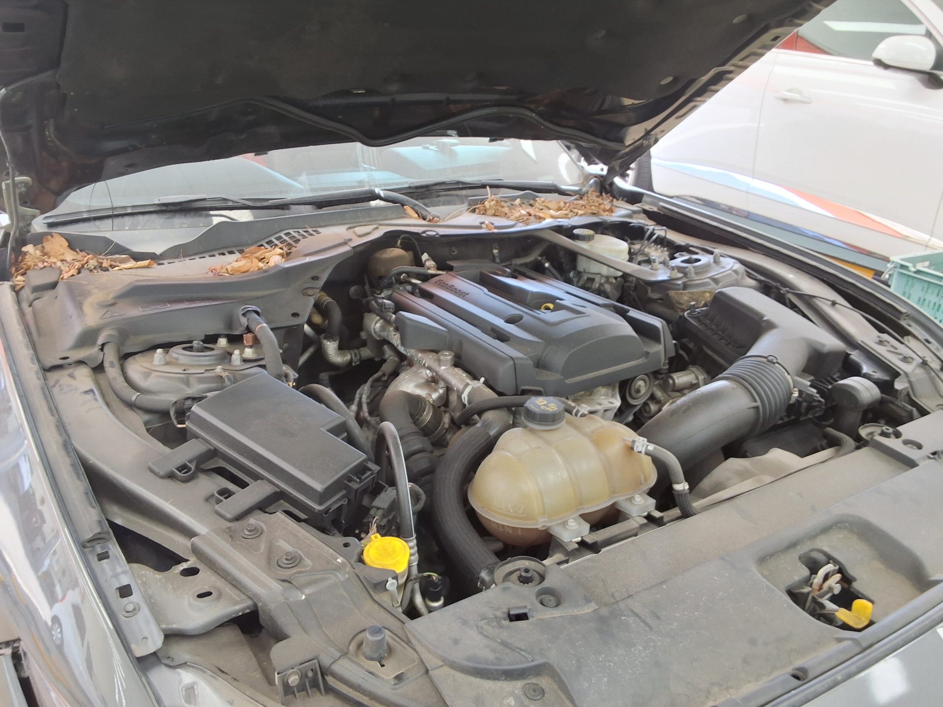 FORD 포드 - 19