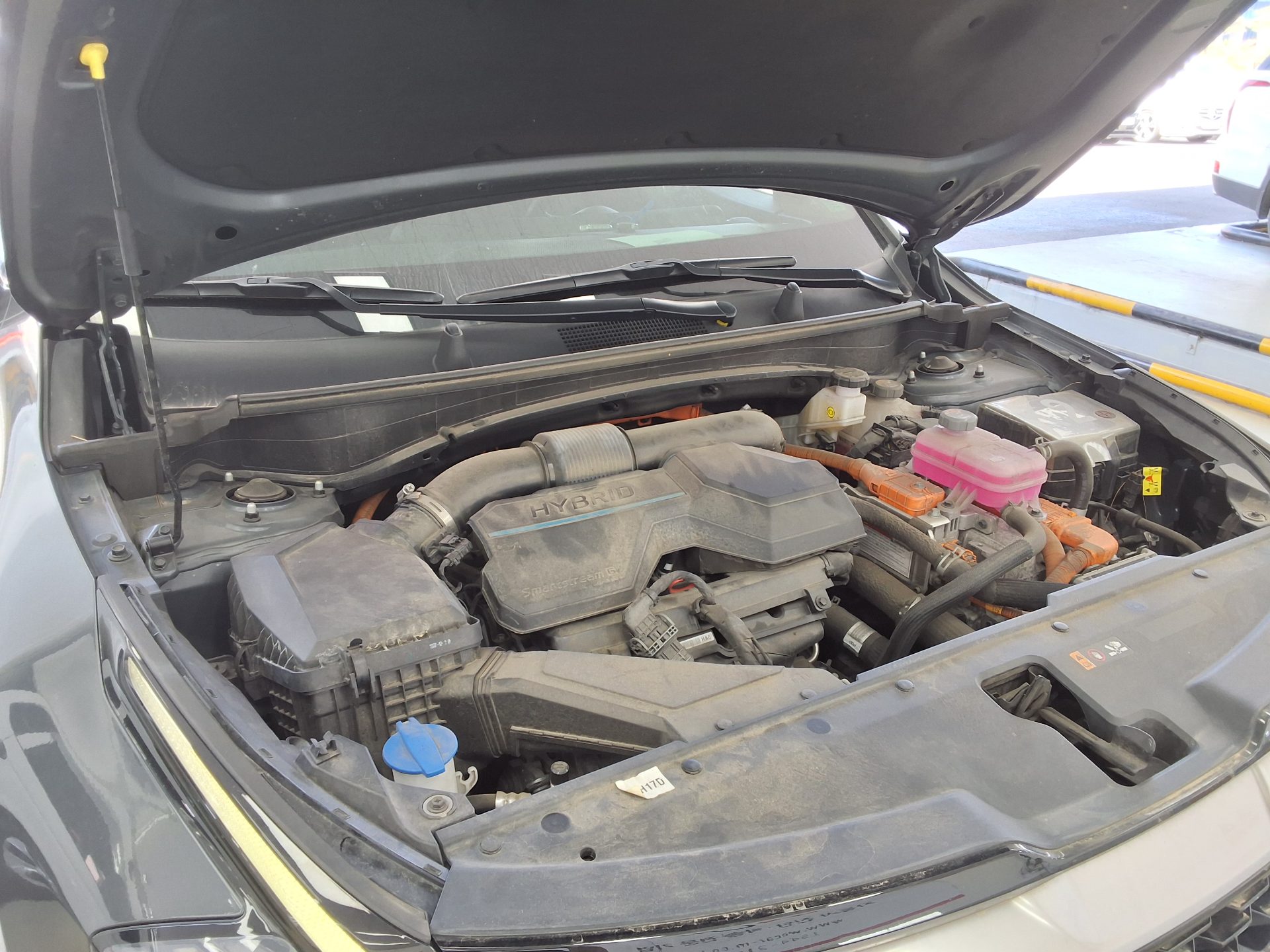 Kia Other 2023 - Image 16