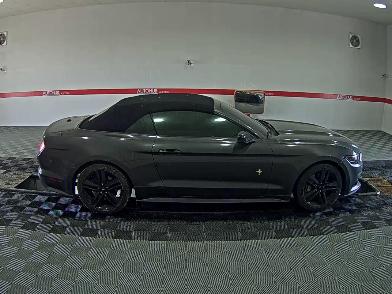 FORD 포드 - 3
