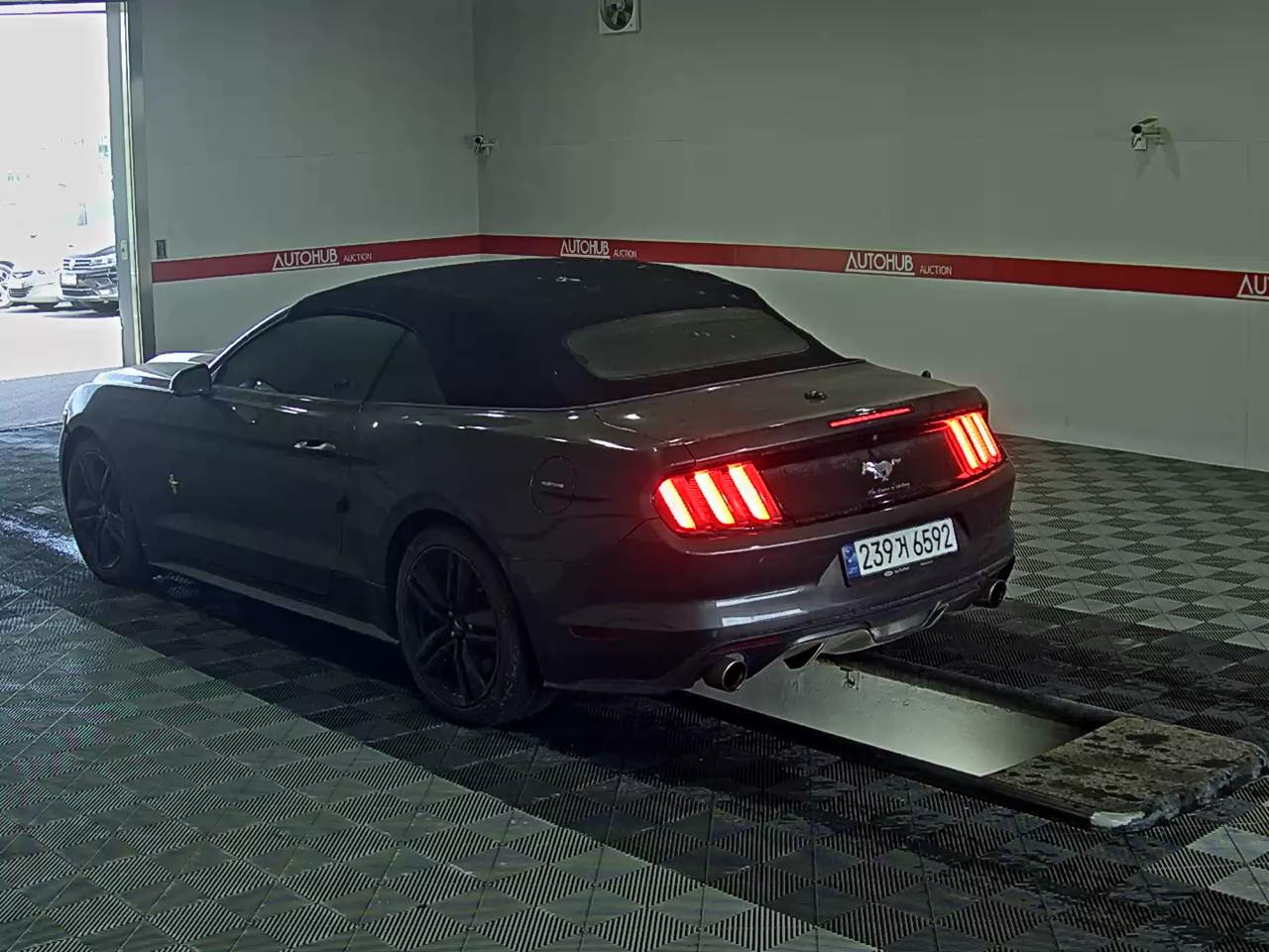 FORD 포드 - 5