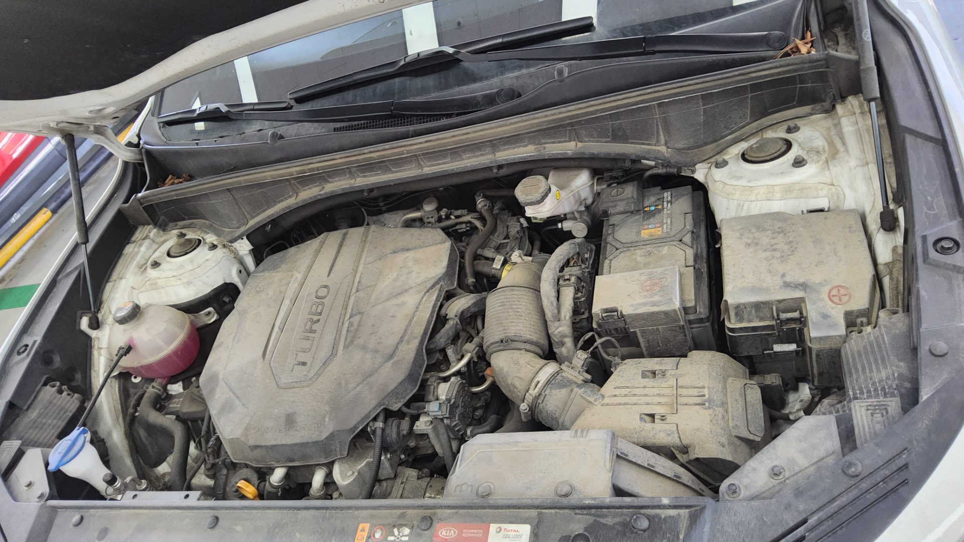 كيا أخرى 2021 - صورة 20