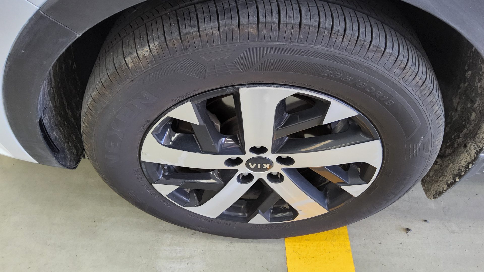 كيا أخرى 2021 - صورة 16