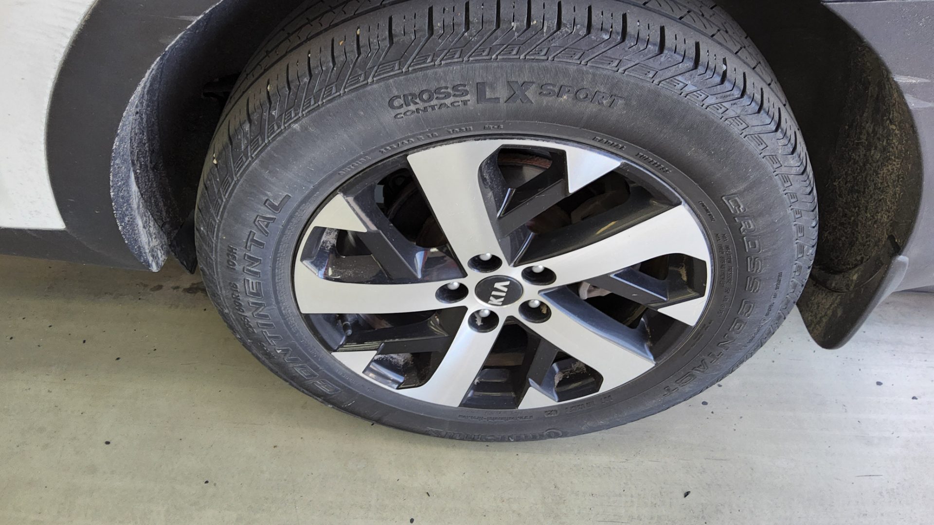 كيا أخرى 2021 - صورة 17