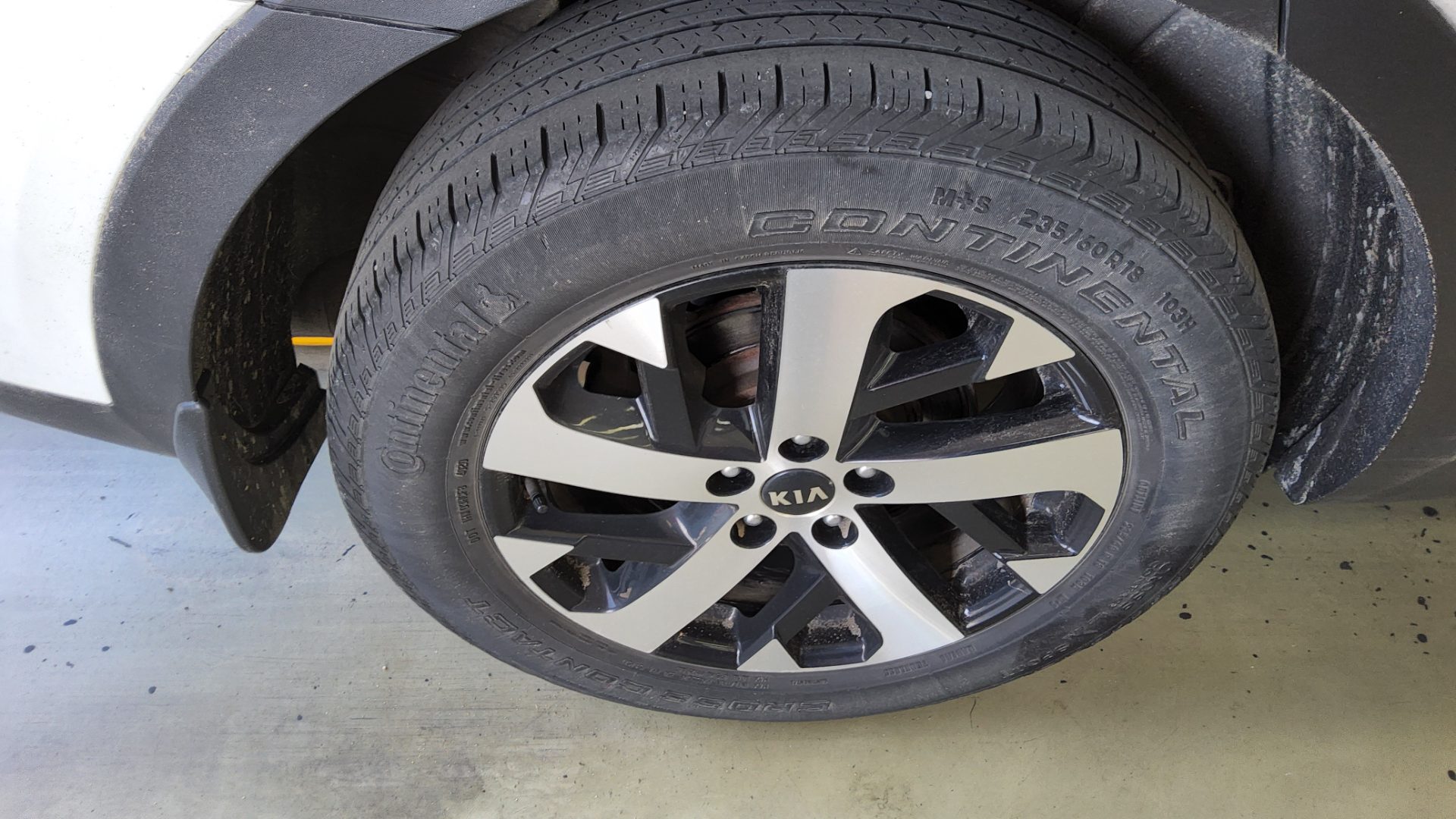 كيا أخرى 2021 - صورة 19