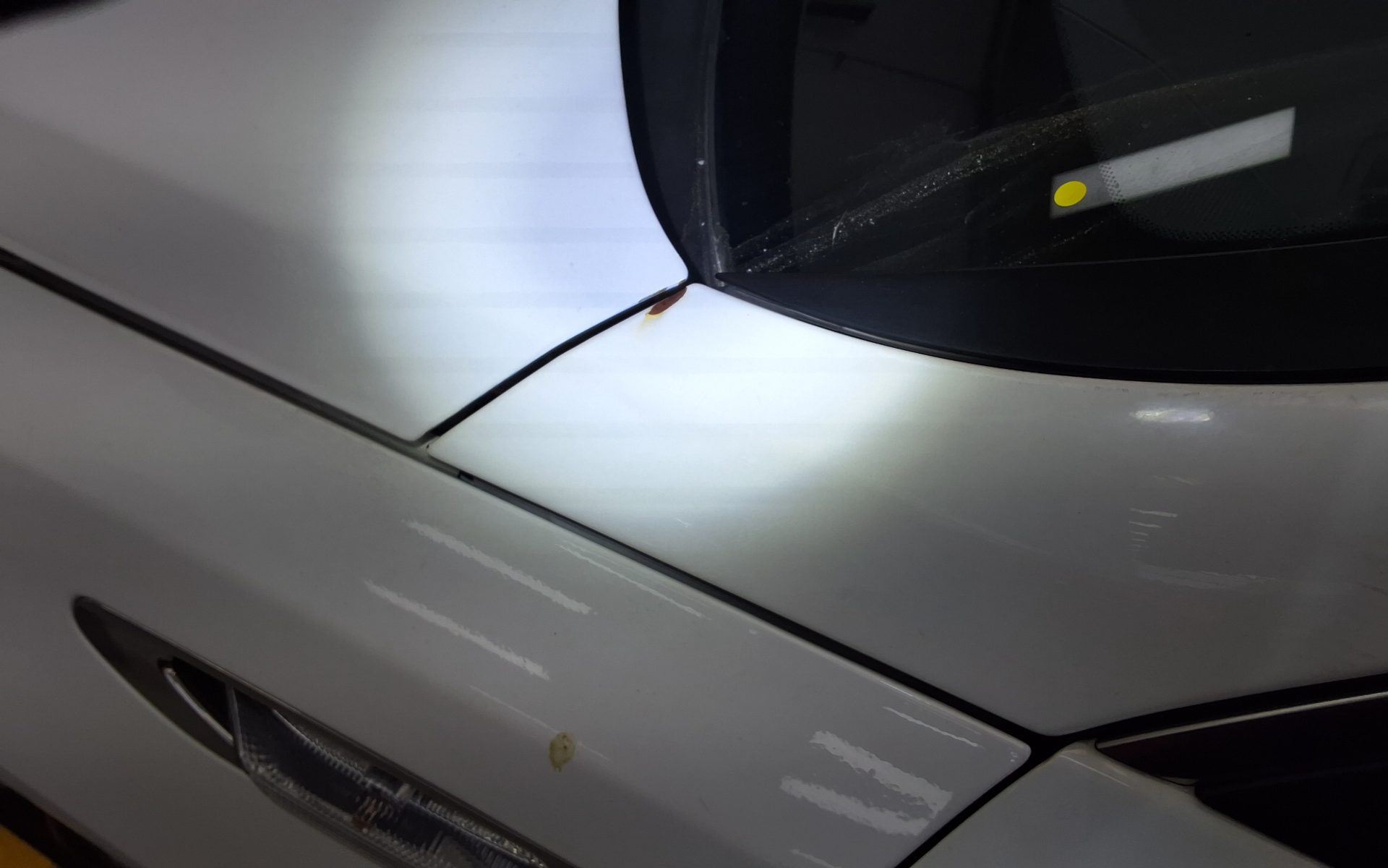 كيا أخرى 2021 - صورة 21