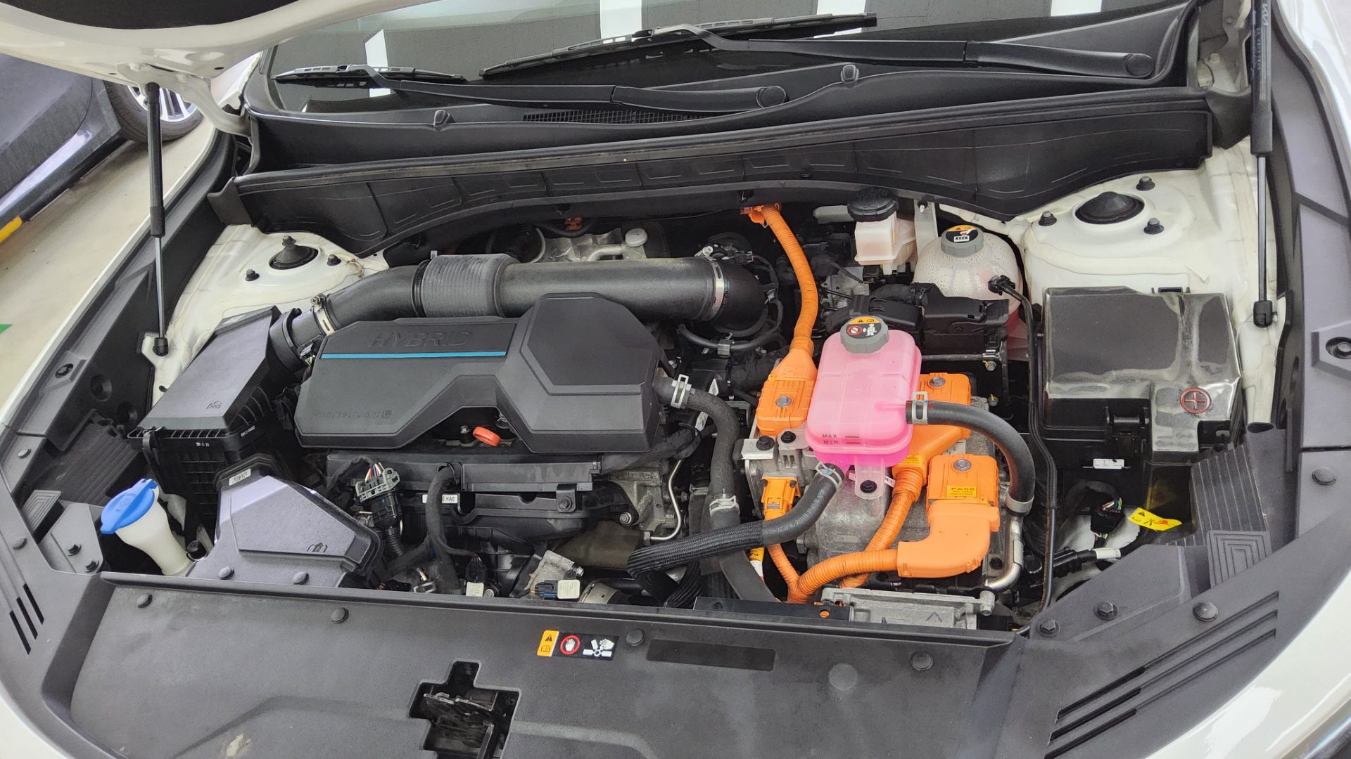 كيا أخرى 2022 - صورة 20