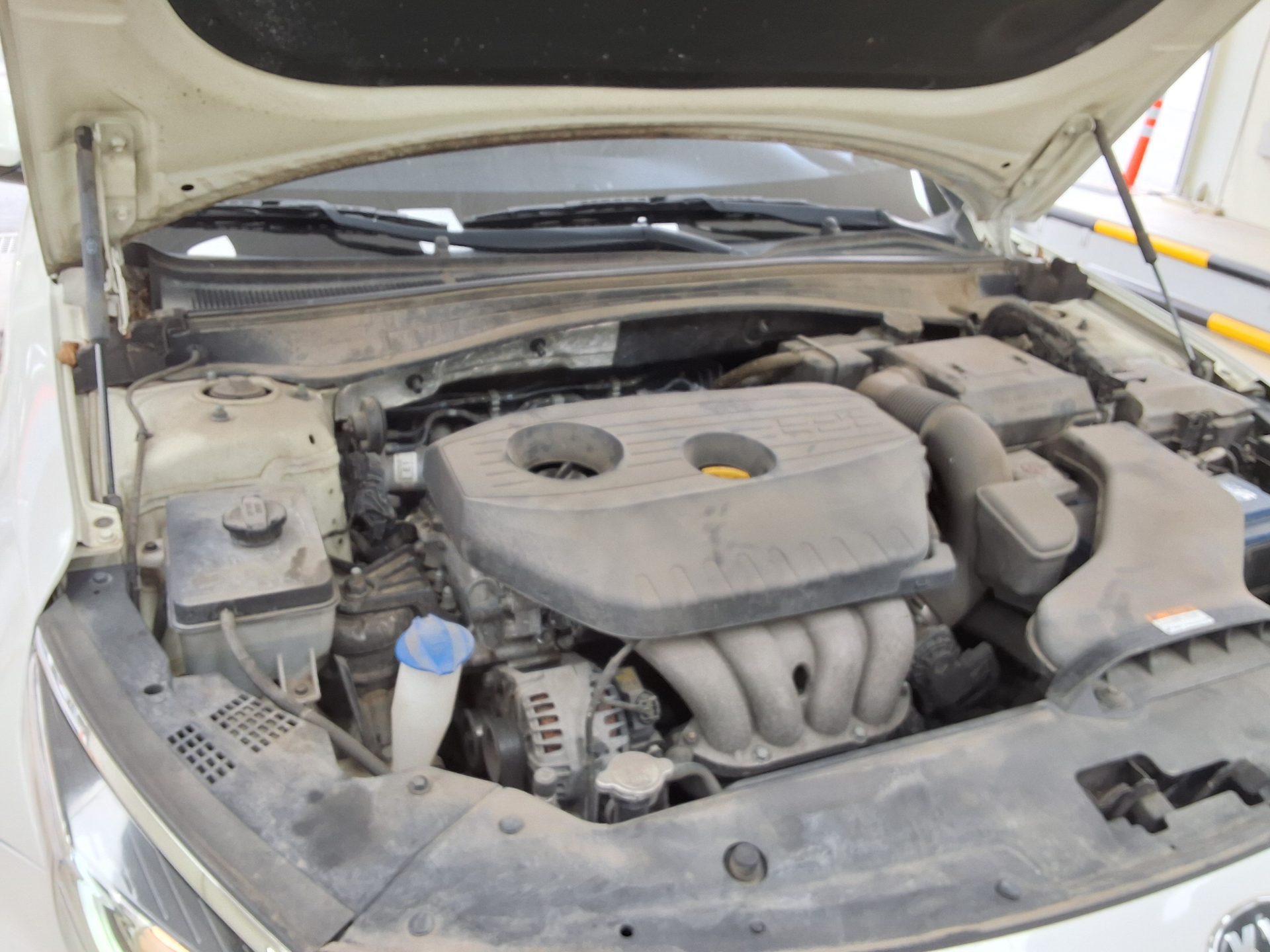 كيا أخرى 2020 - صورة 17