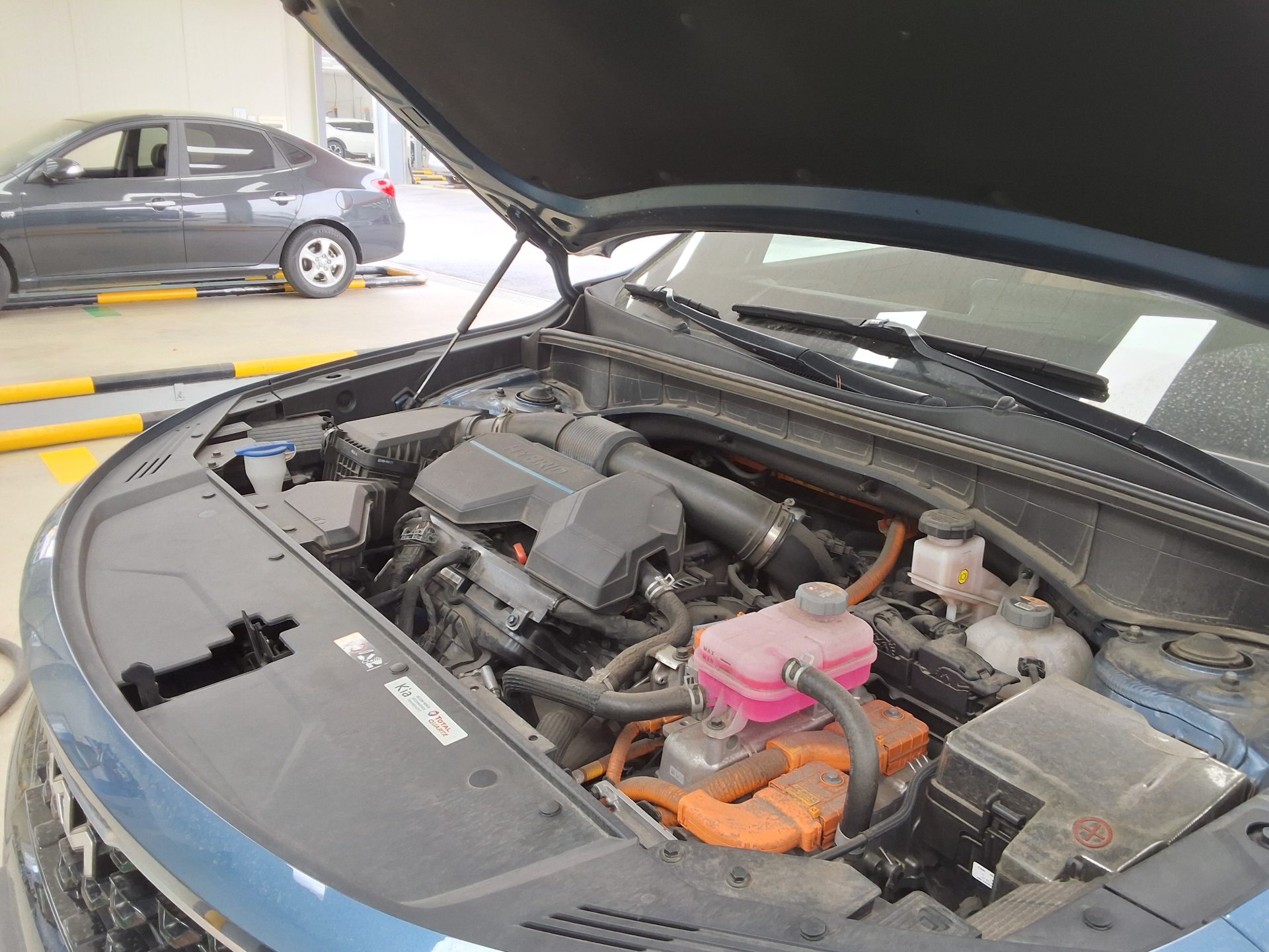 كيا أخرى 2022 - صورة 18