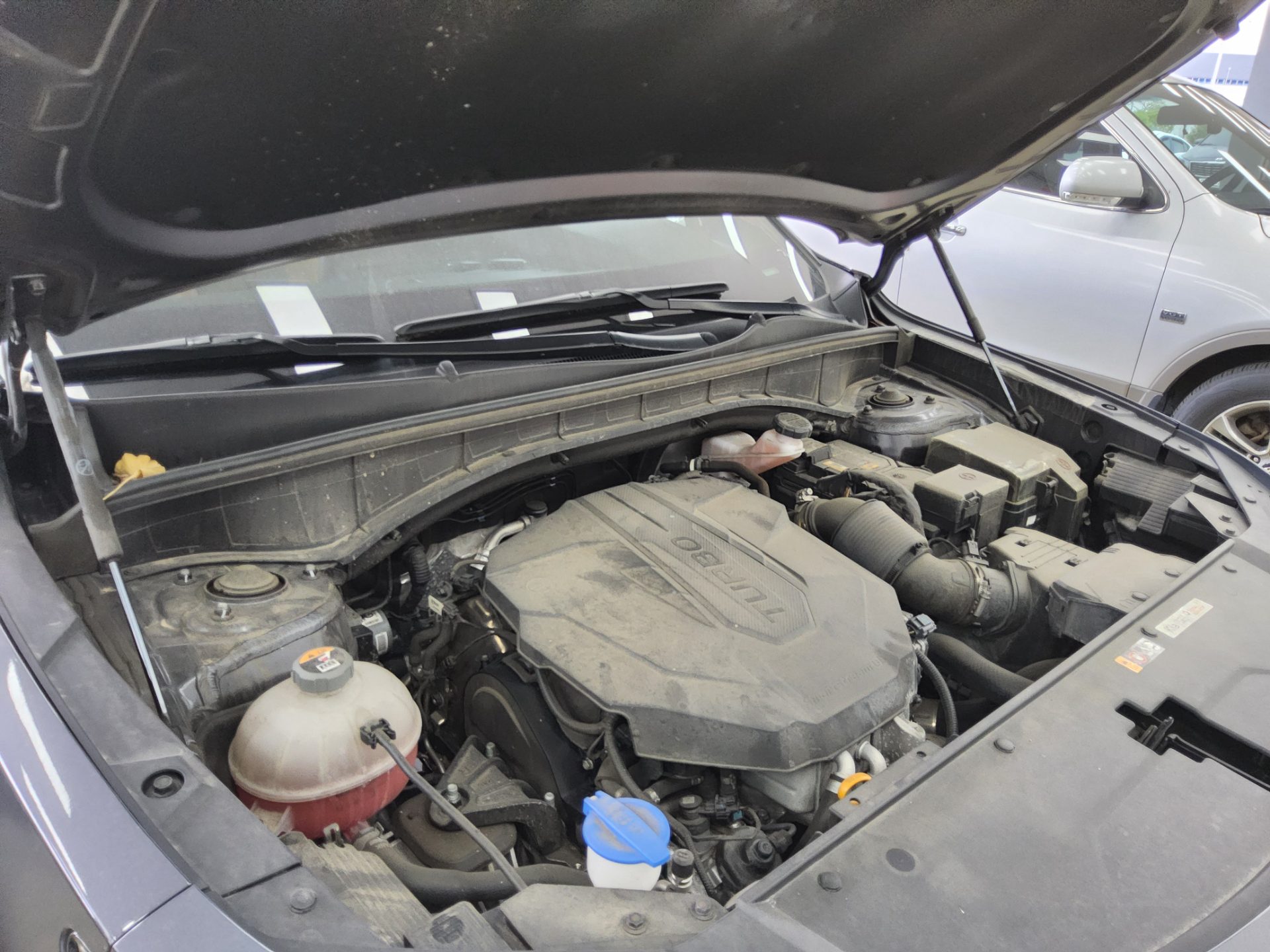 كيا أخرى 2021 - صورة 17