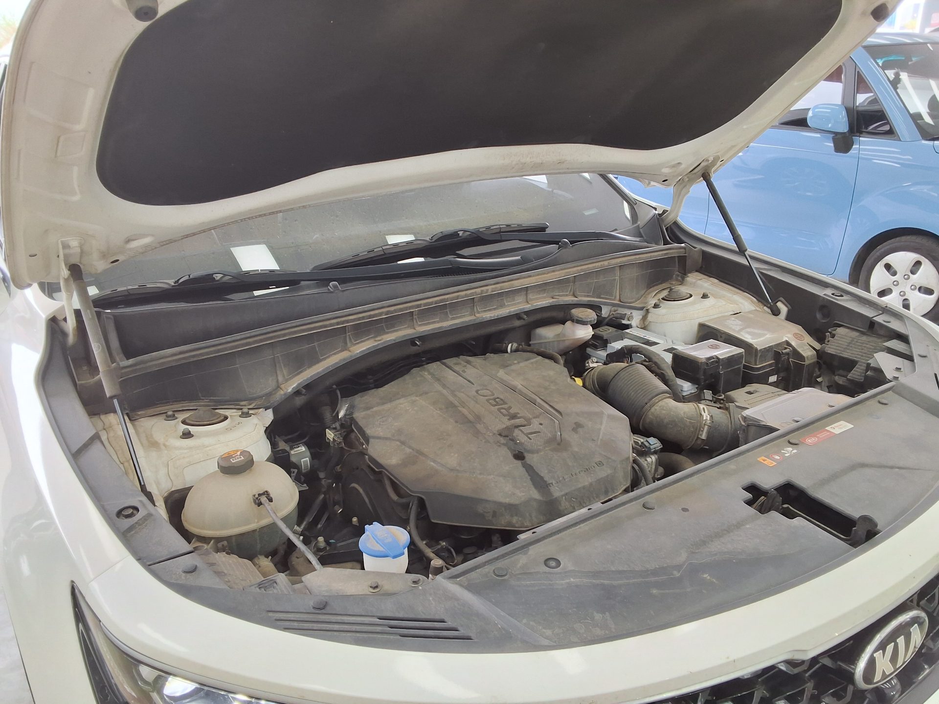 كيا أخرى 2021 - صورة 16