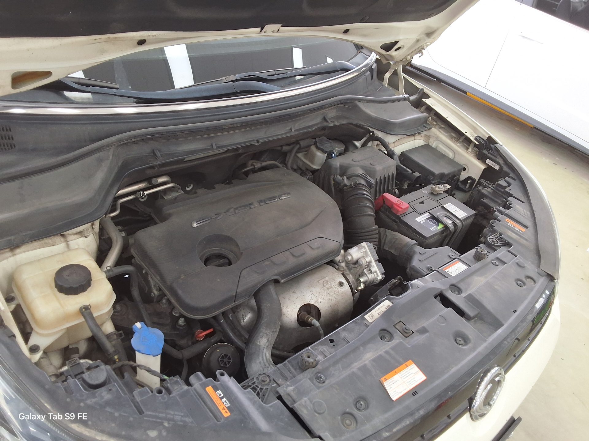 سانج يونج تيفولي 2019 - صورة 19