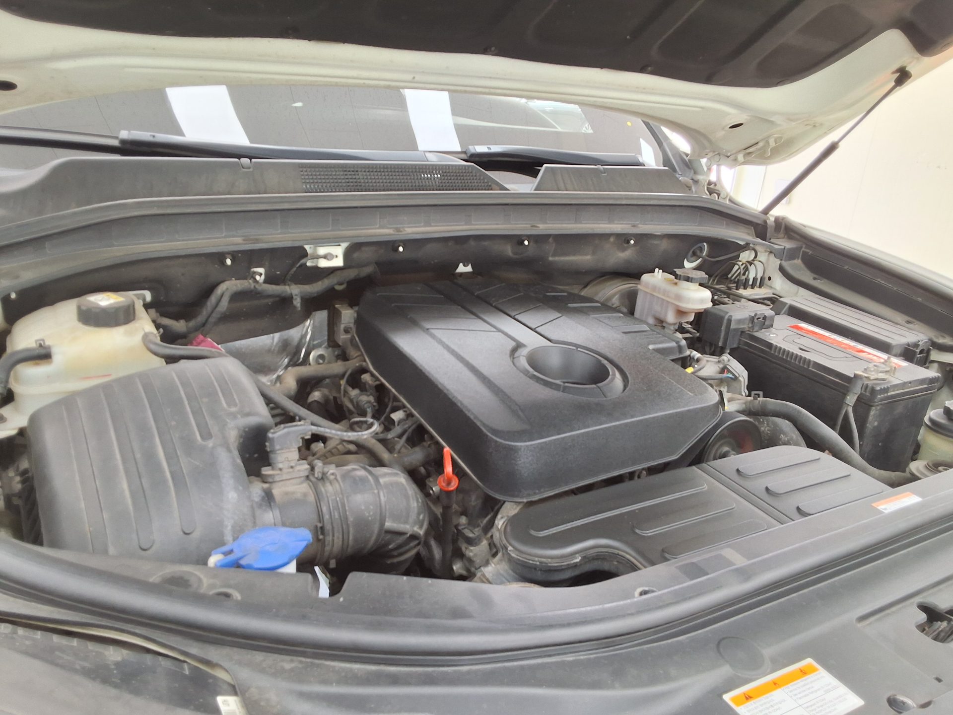 سانج يونج ريكستون سبورت 2021 - صورة 16