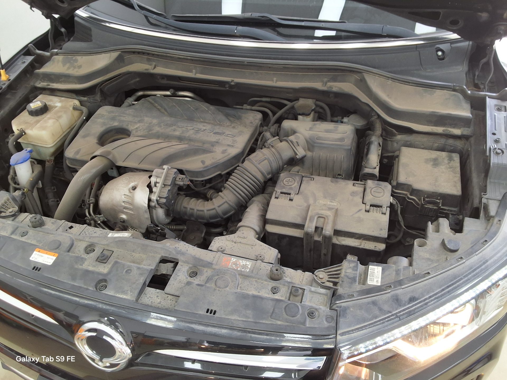 سانج يونج تيفولي 2020 - صورة 19