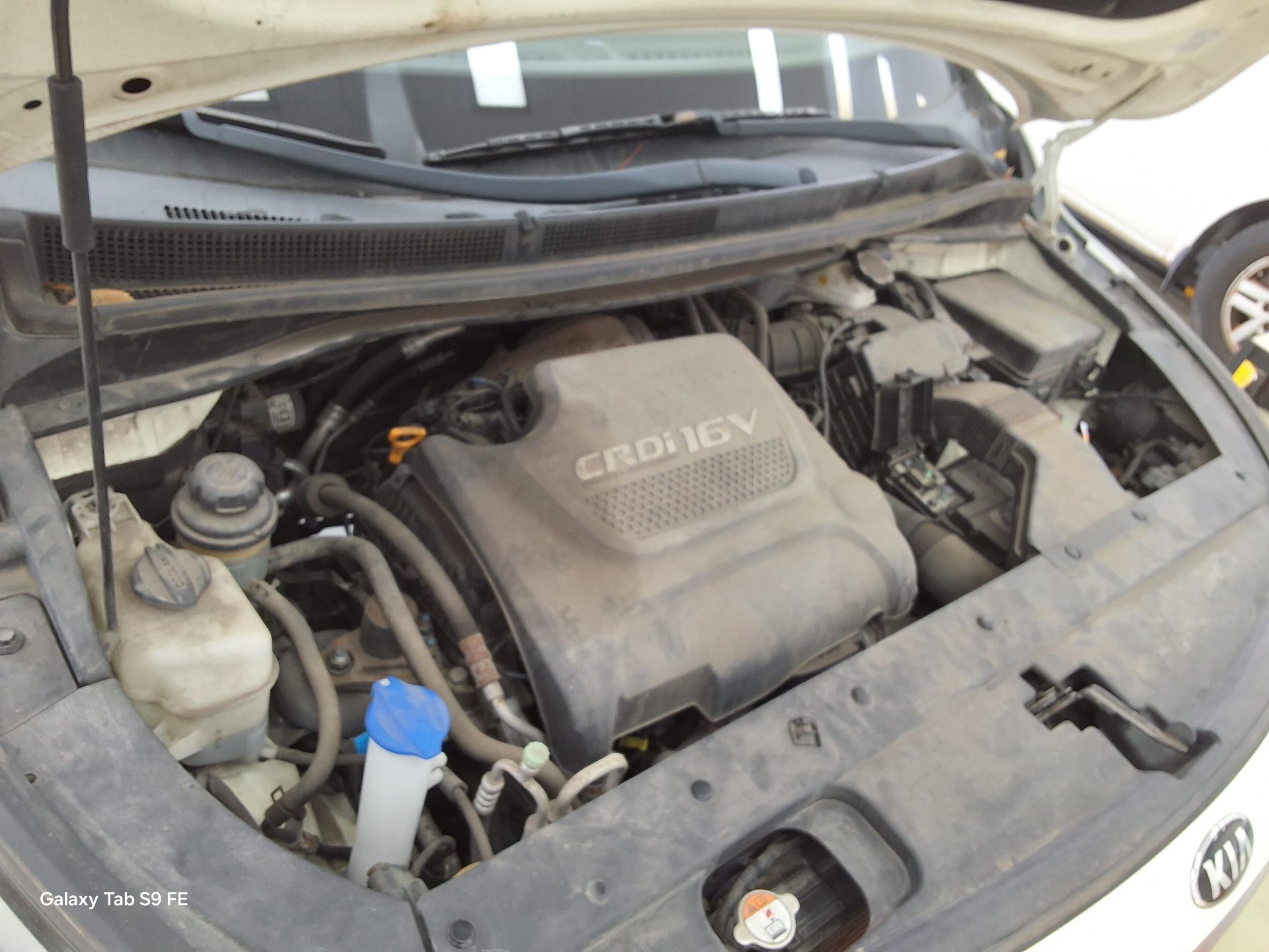 كيا أخرى 2016 - صورة 19