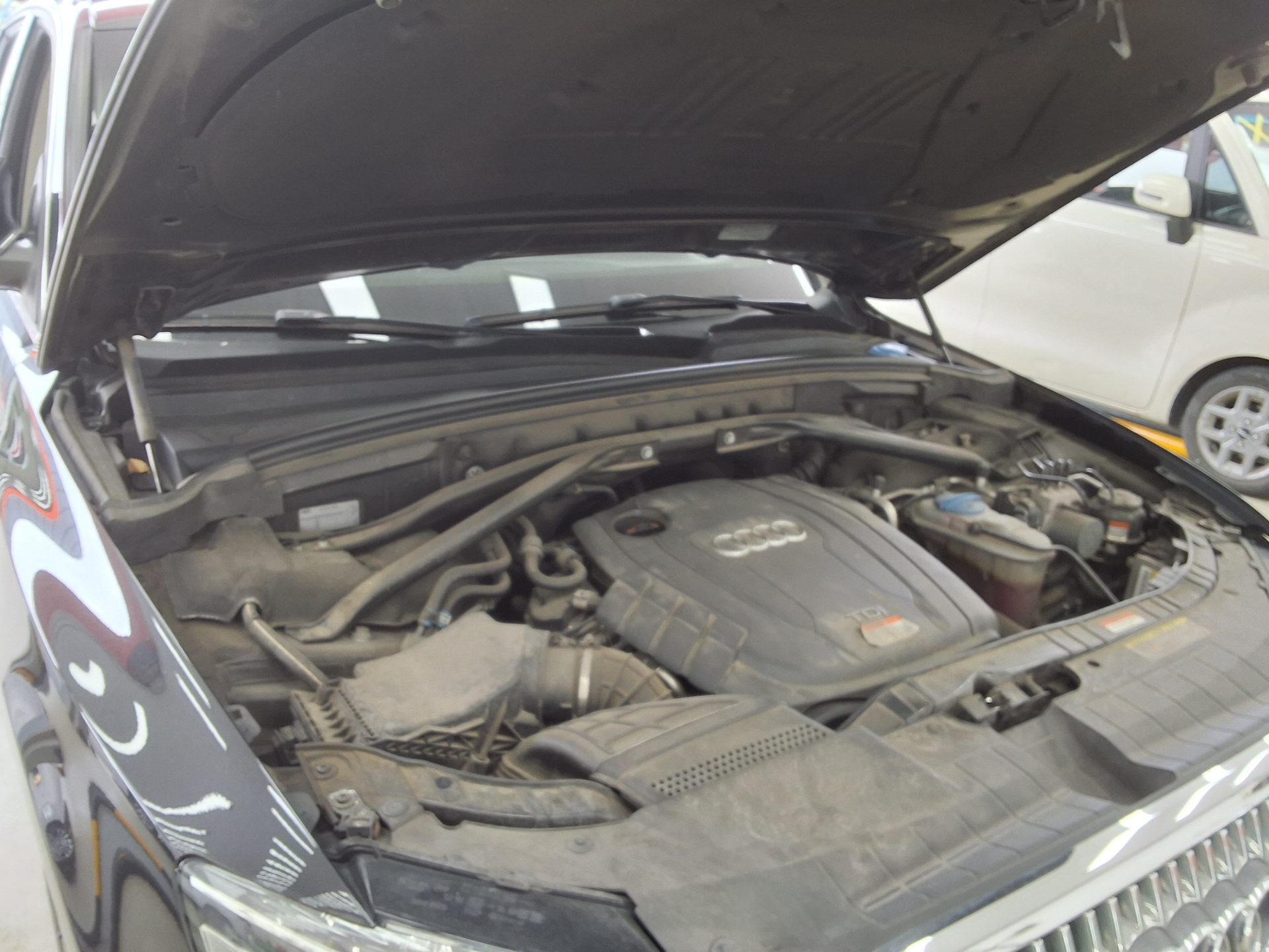 Audi Q5 2012 - Image 16