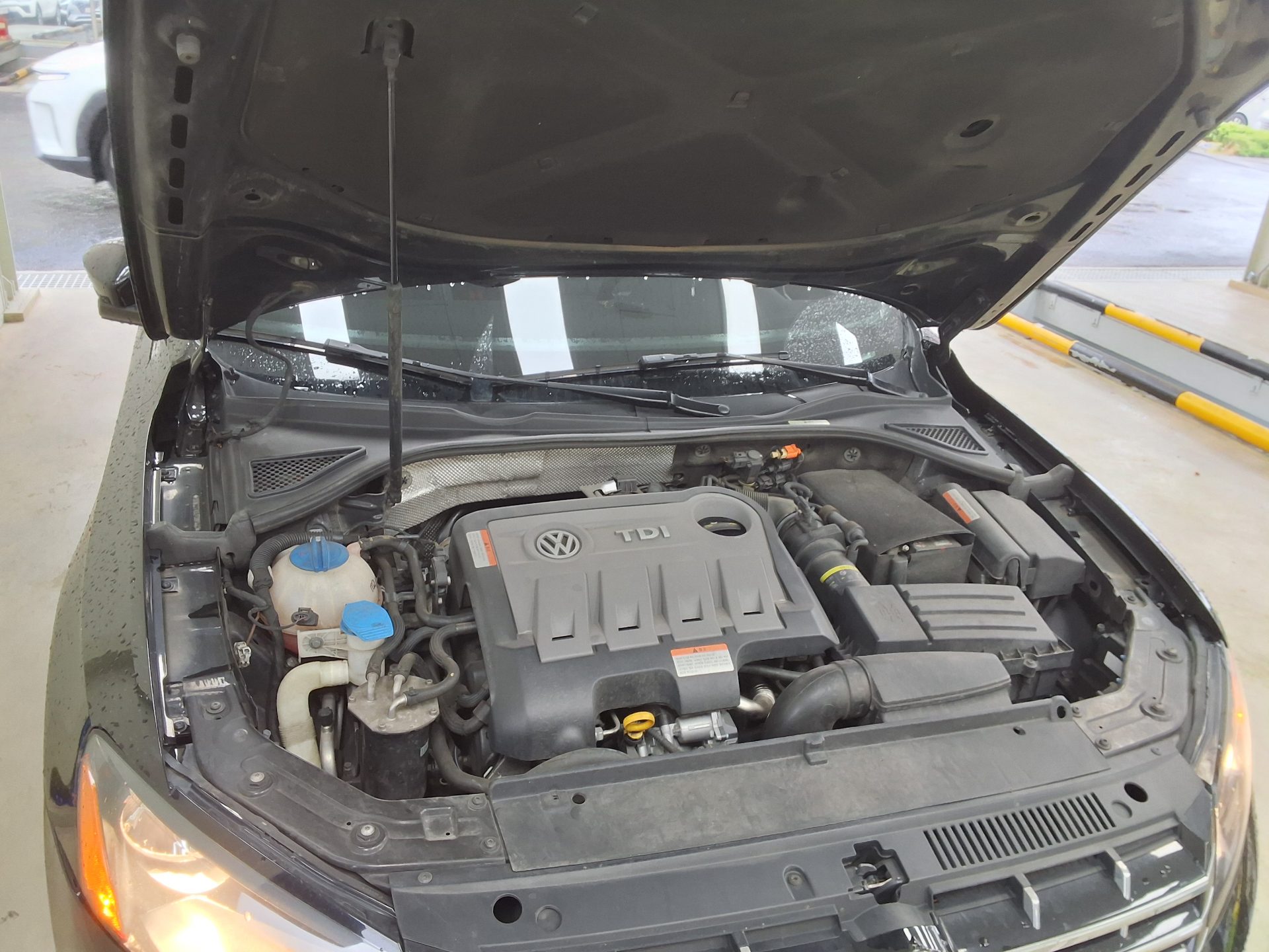 VOLKSWAGEN 기타 - 20