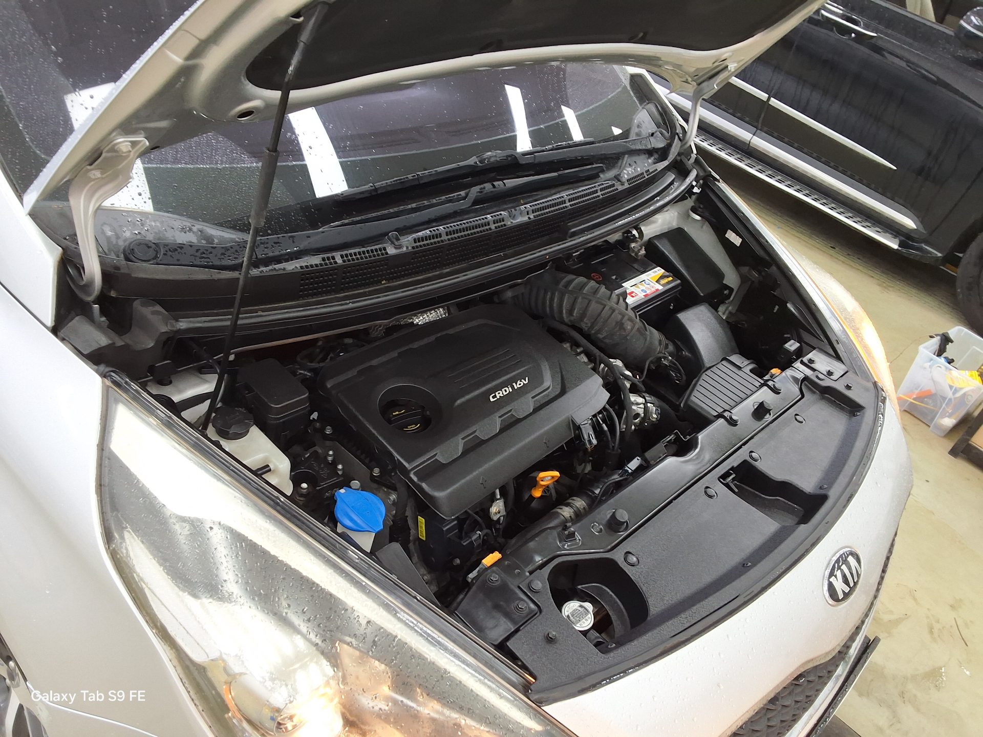 كيا كارينز 2016 - صورة 19