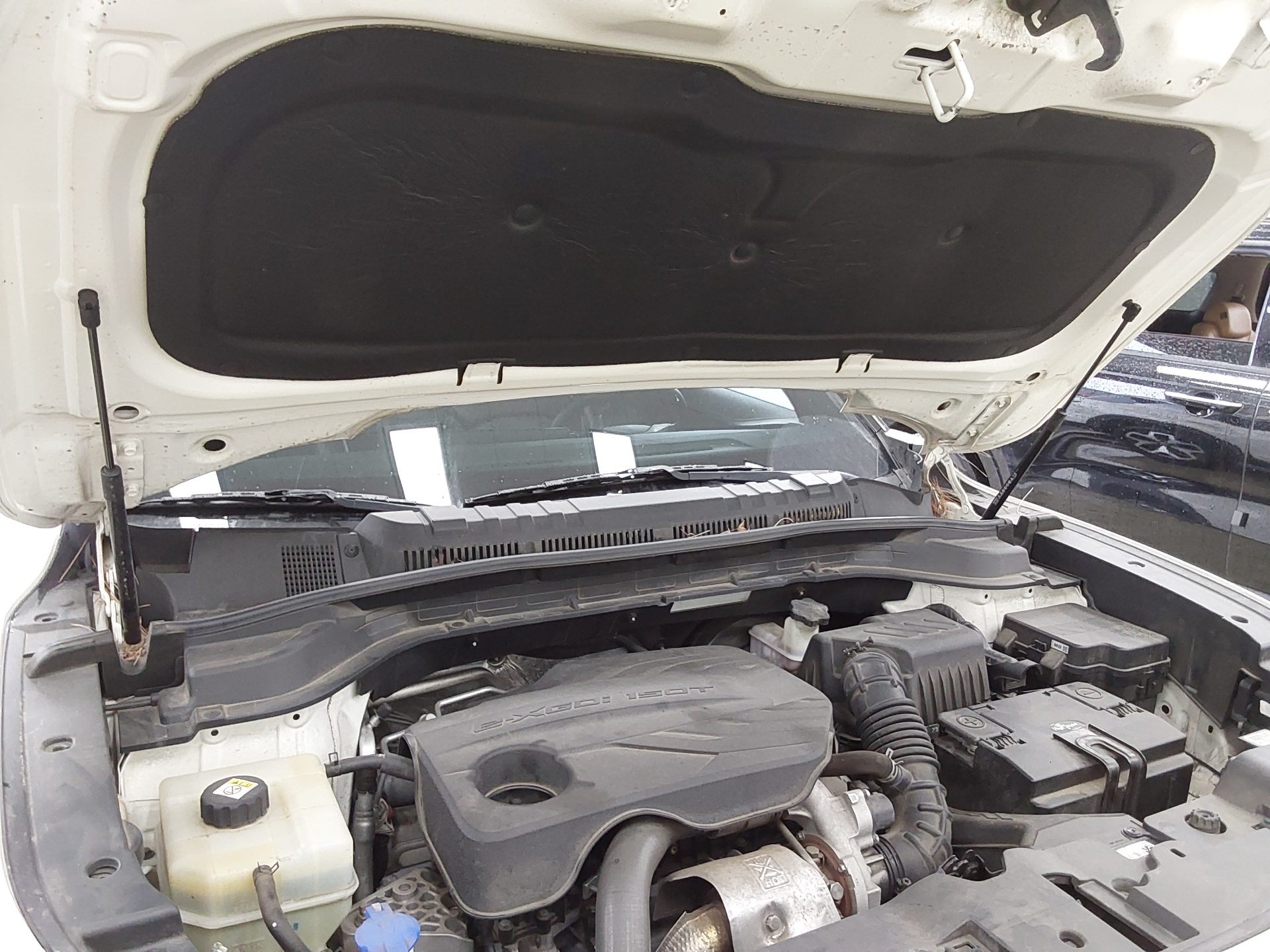 쌍용자동차 토레스 2023 - 이미지 17