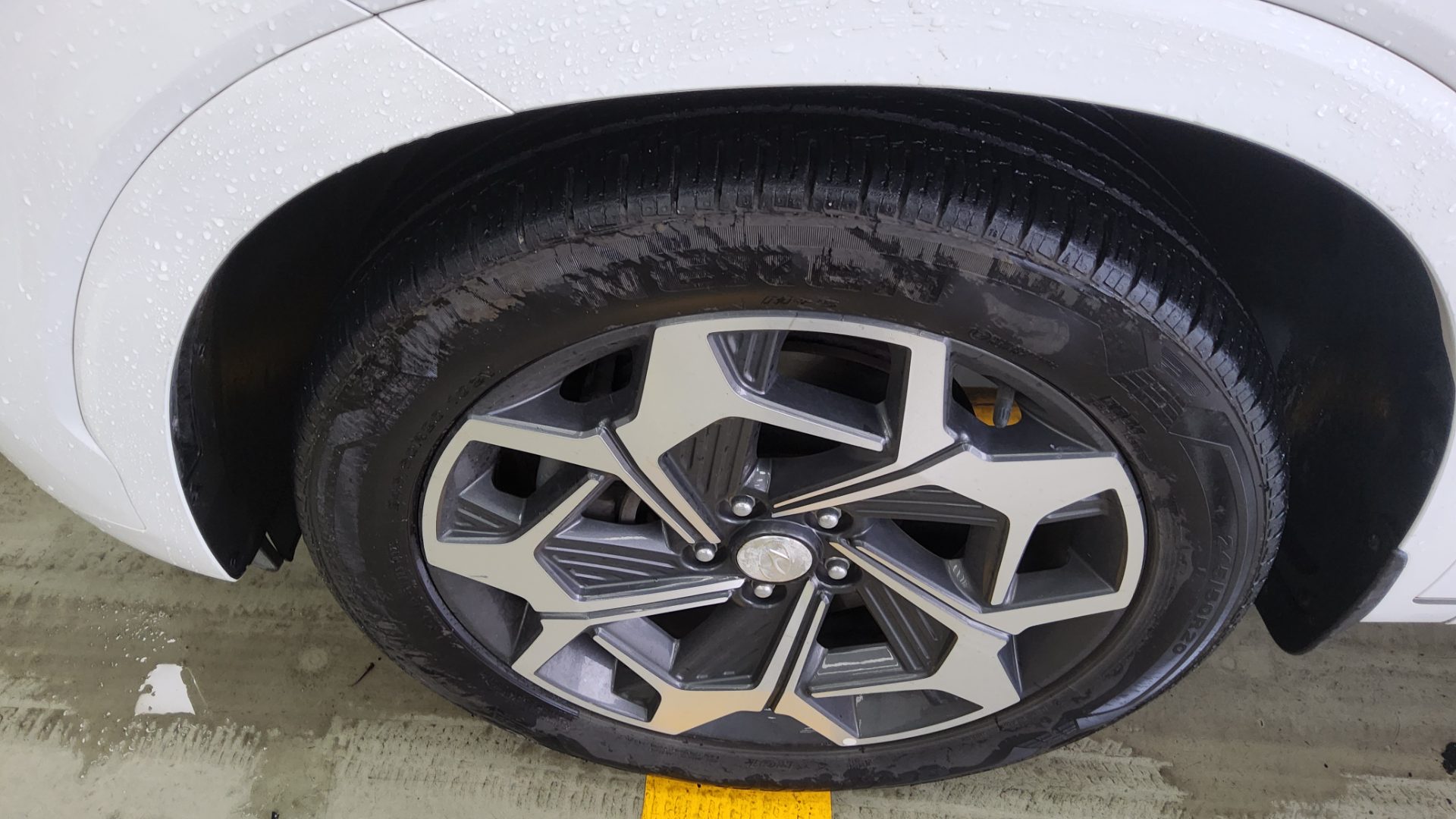 Hyundai Palisade - 16