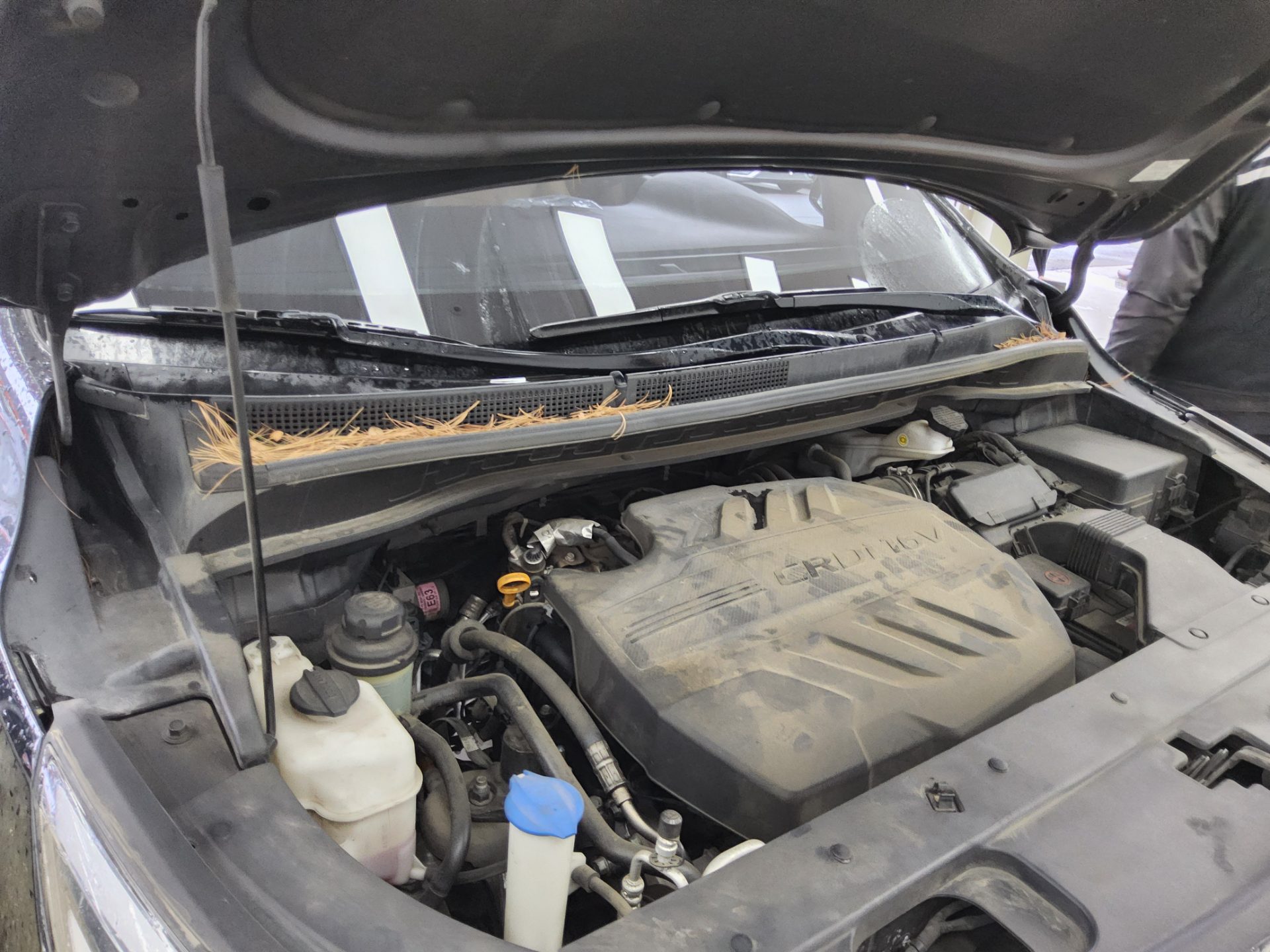 Kia Other 2019 - Image 19