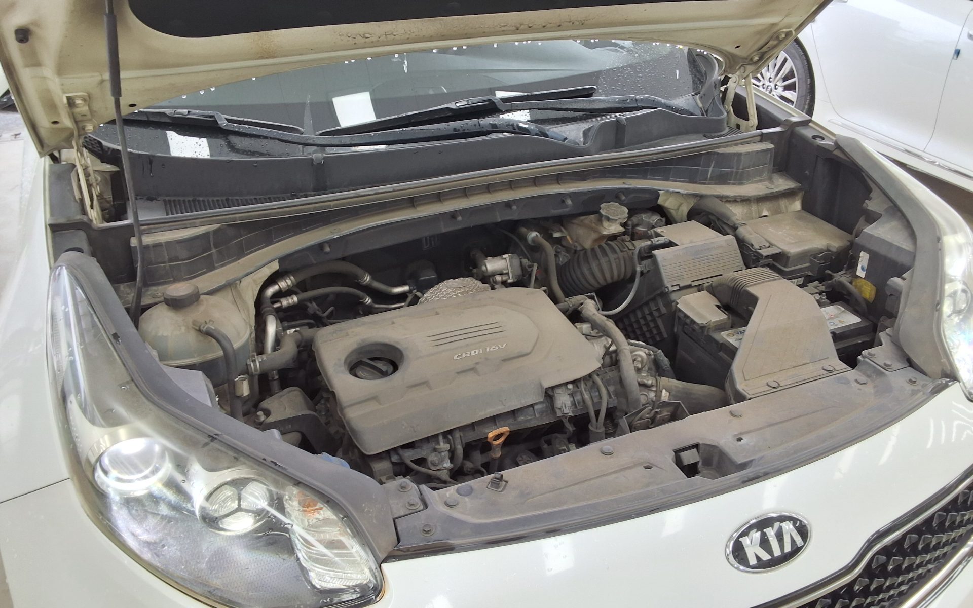 Kia Sportage 2016 - Image 20