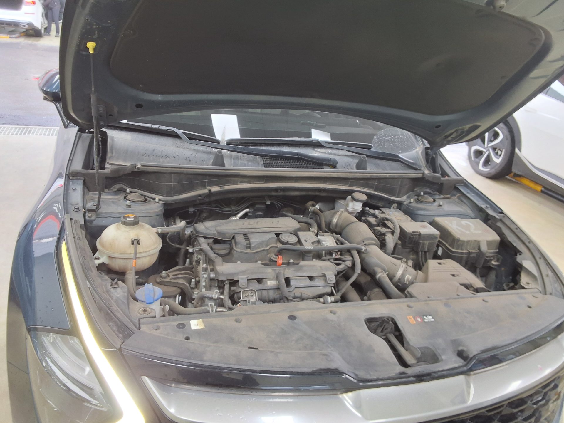 기아자동차 기타 2022 - 이미지 19