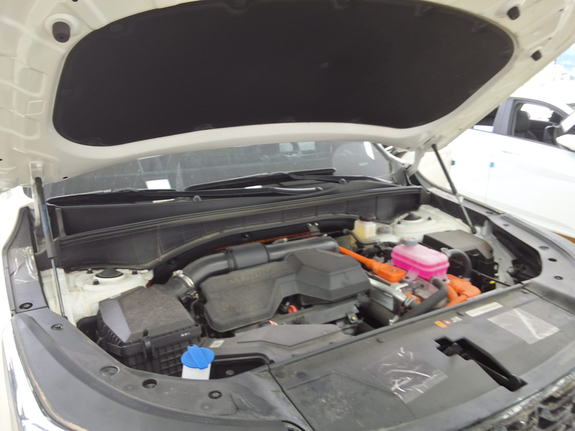 기아자동차 기타 2026 - 이미지 16