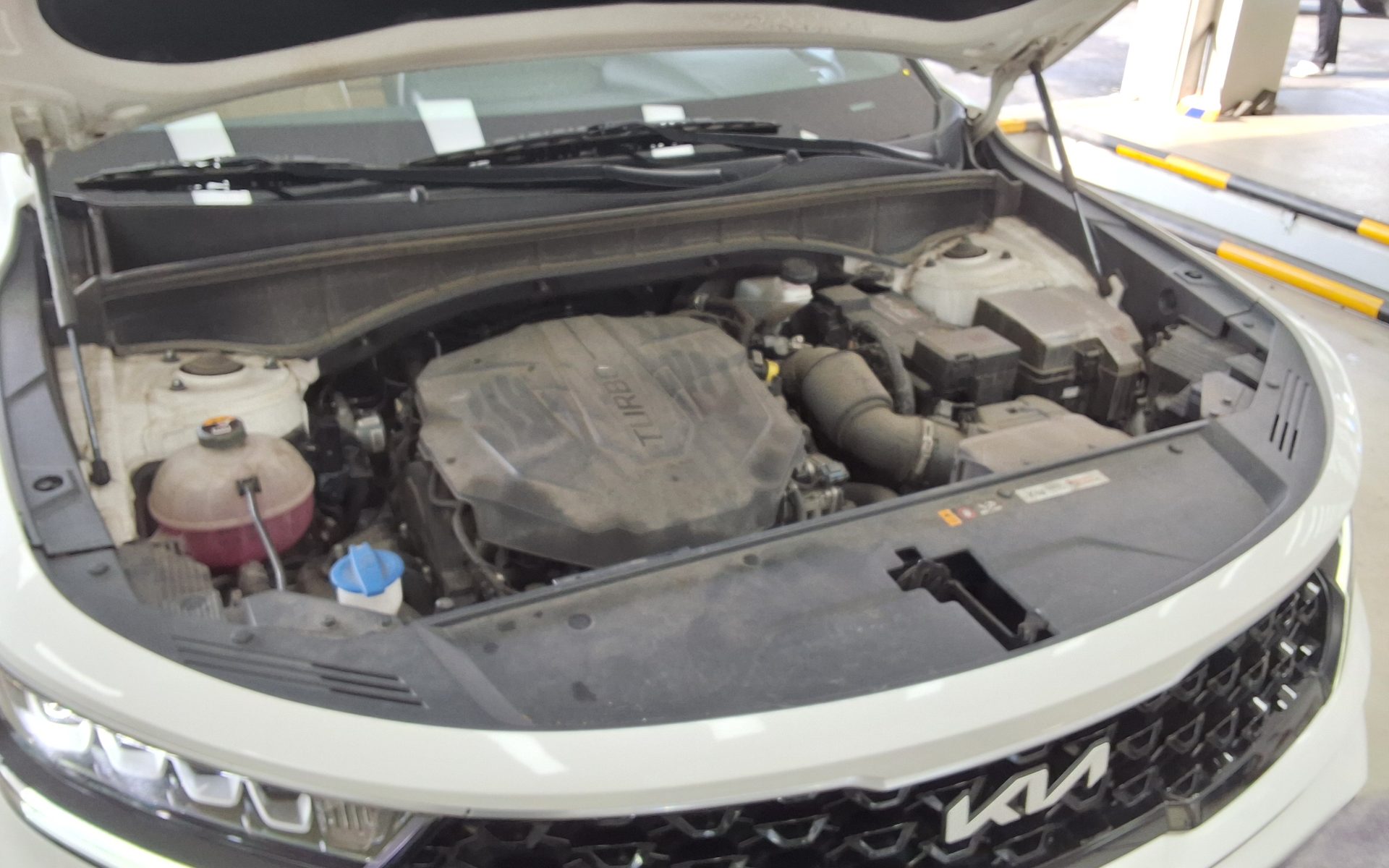 كيا أخرى 2022 - صورة 20