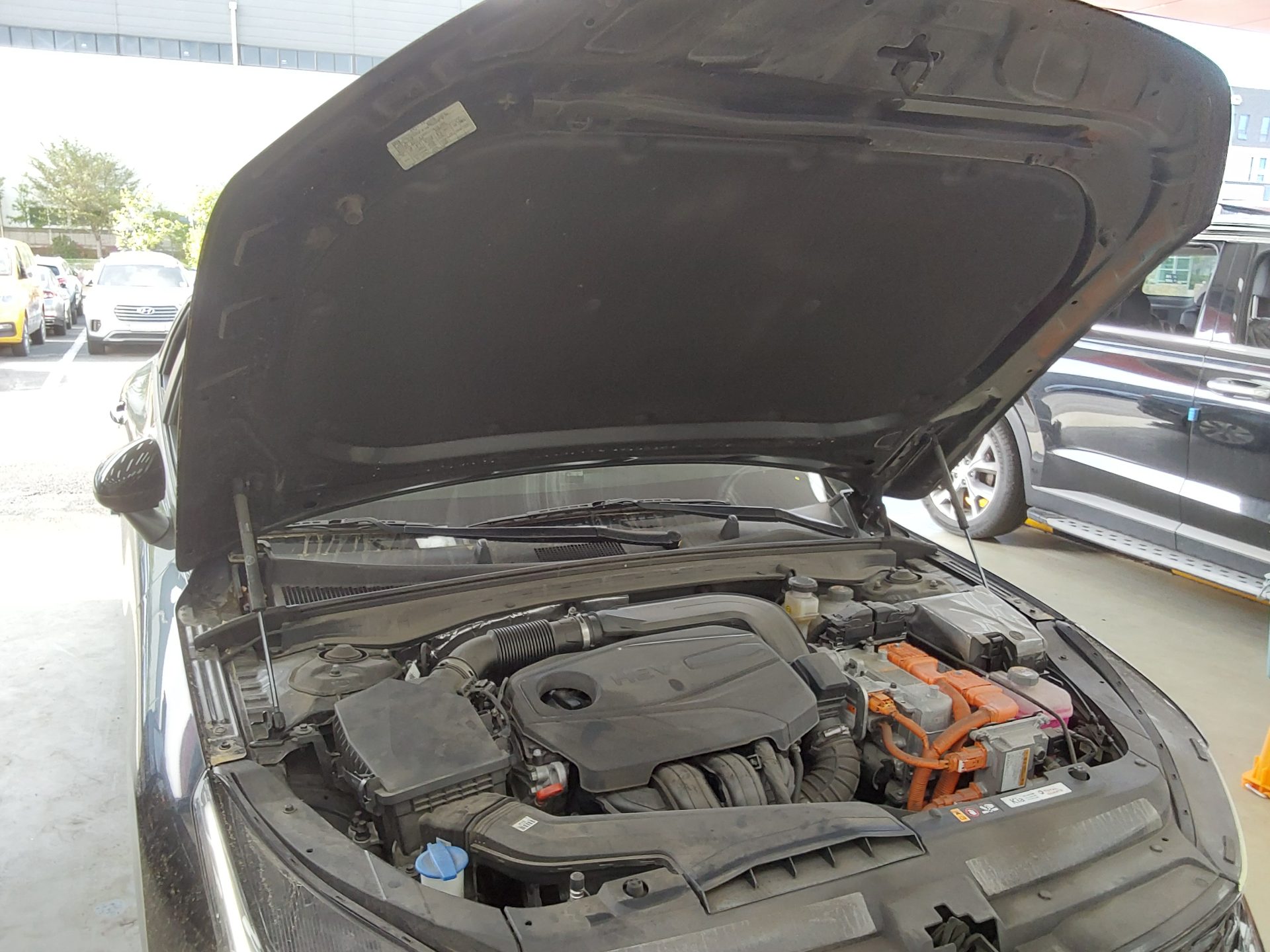 كيا K5 2022 - صورة 19