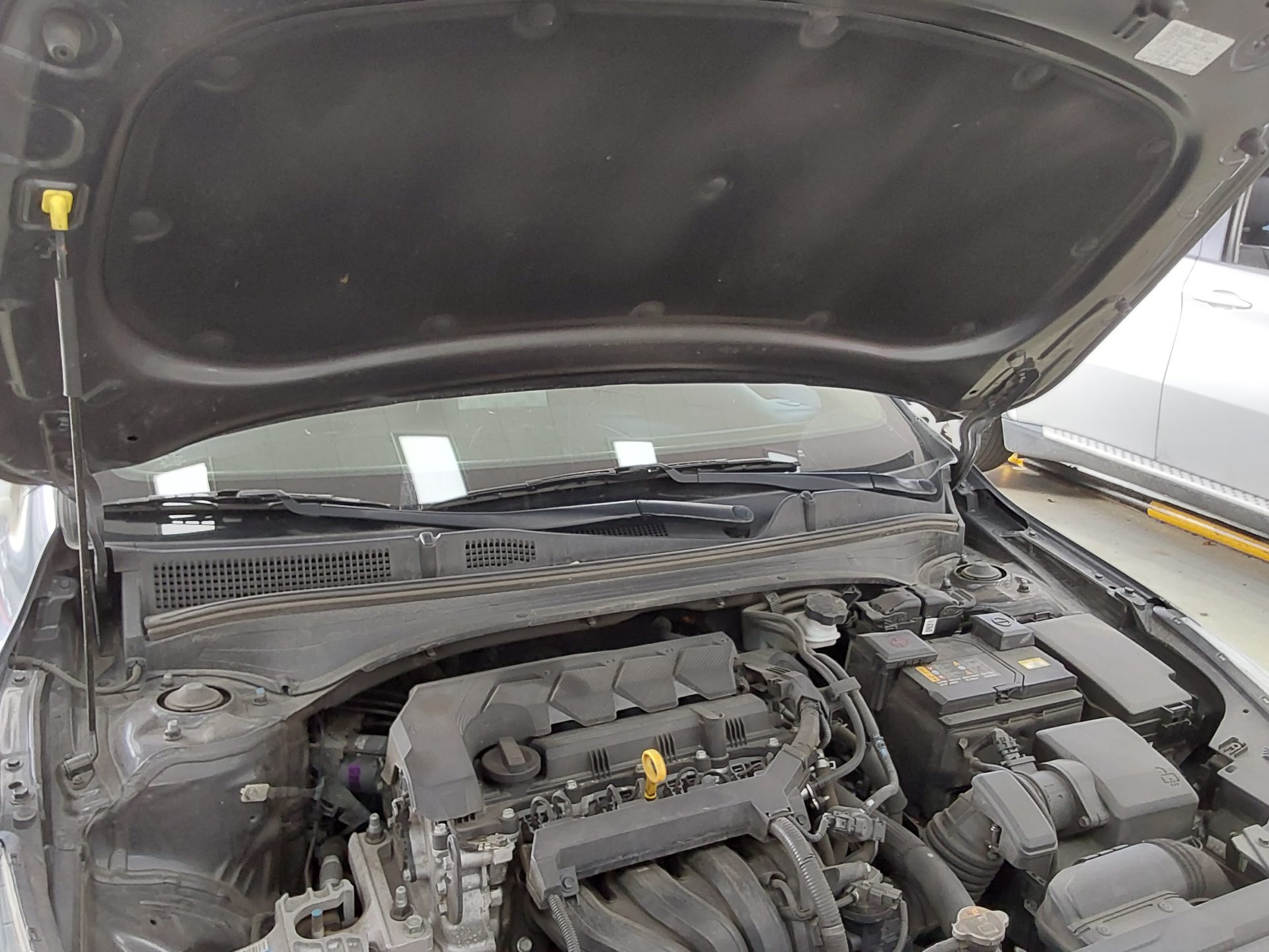 كيا K3 2023 - صورة 18