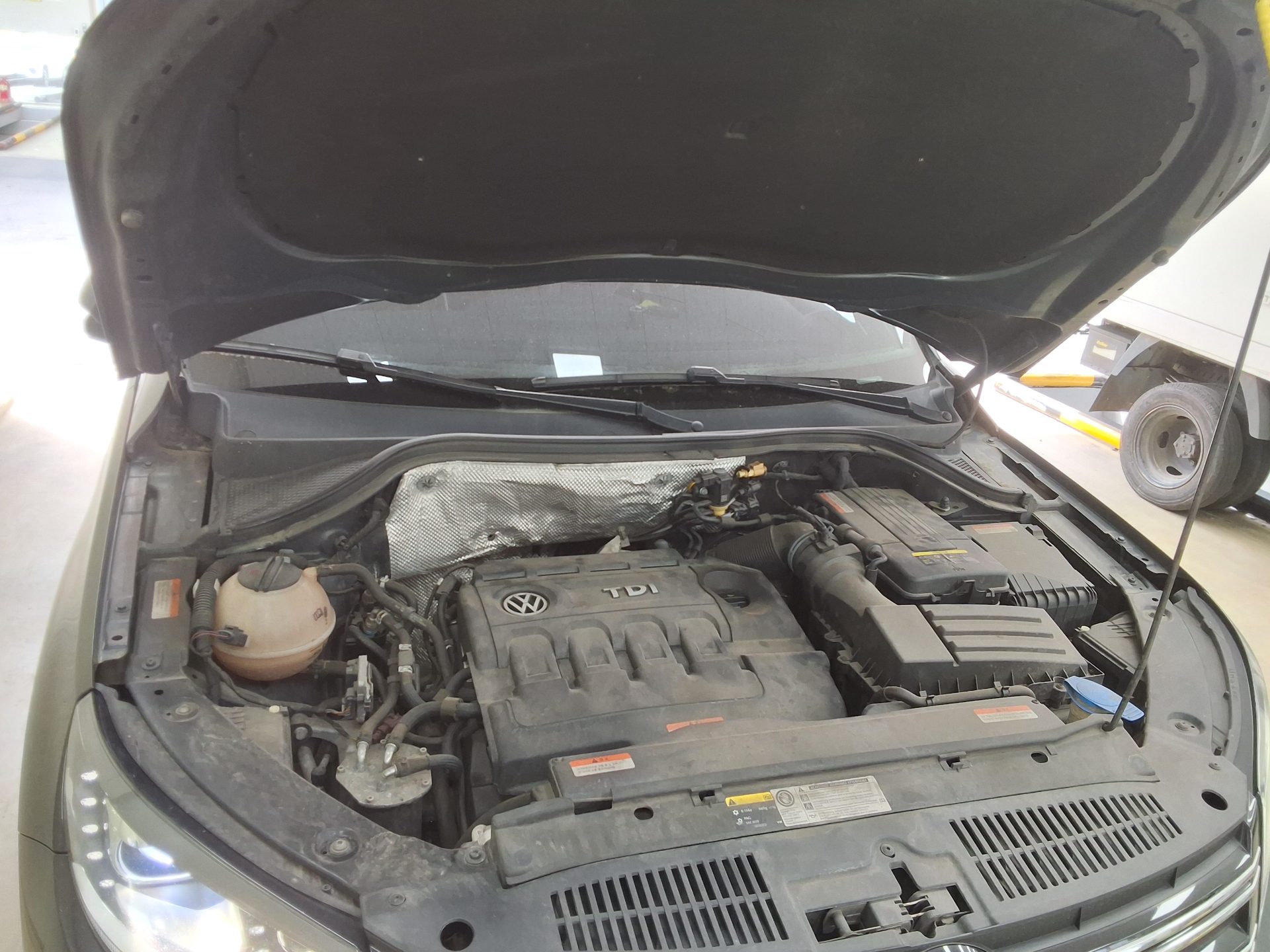 Volkswagen Tiguan - 19