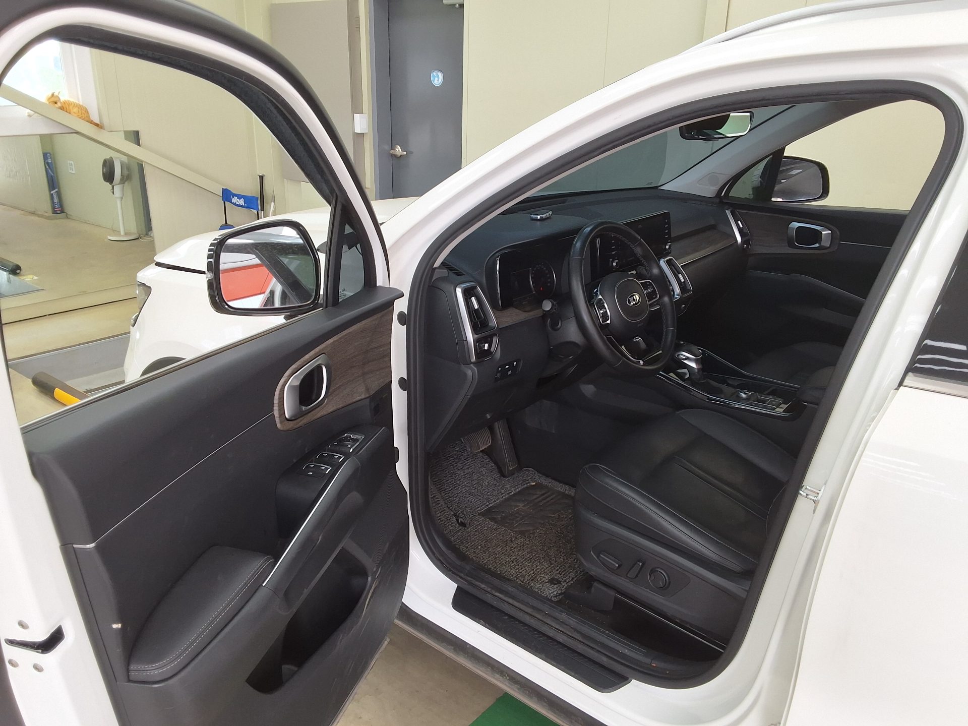 كيا أخرى 2021 - صورة 9