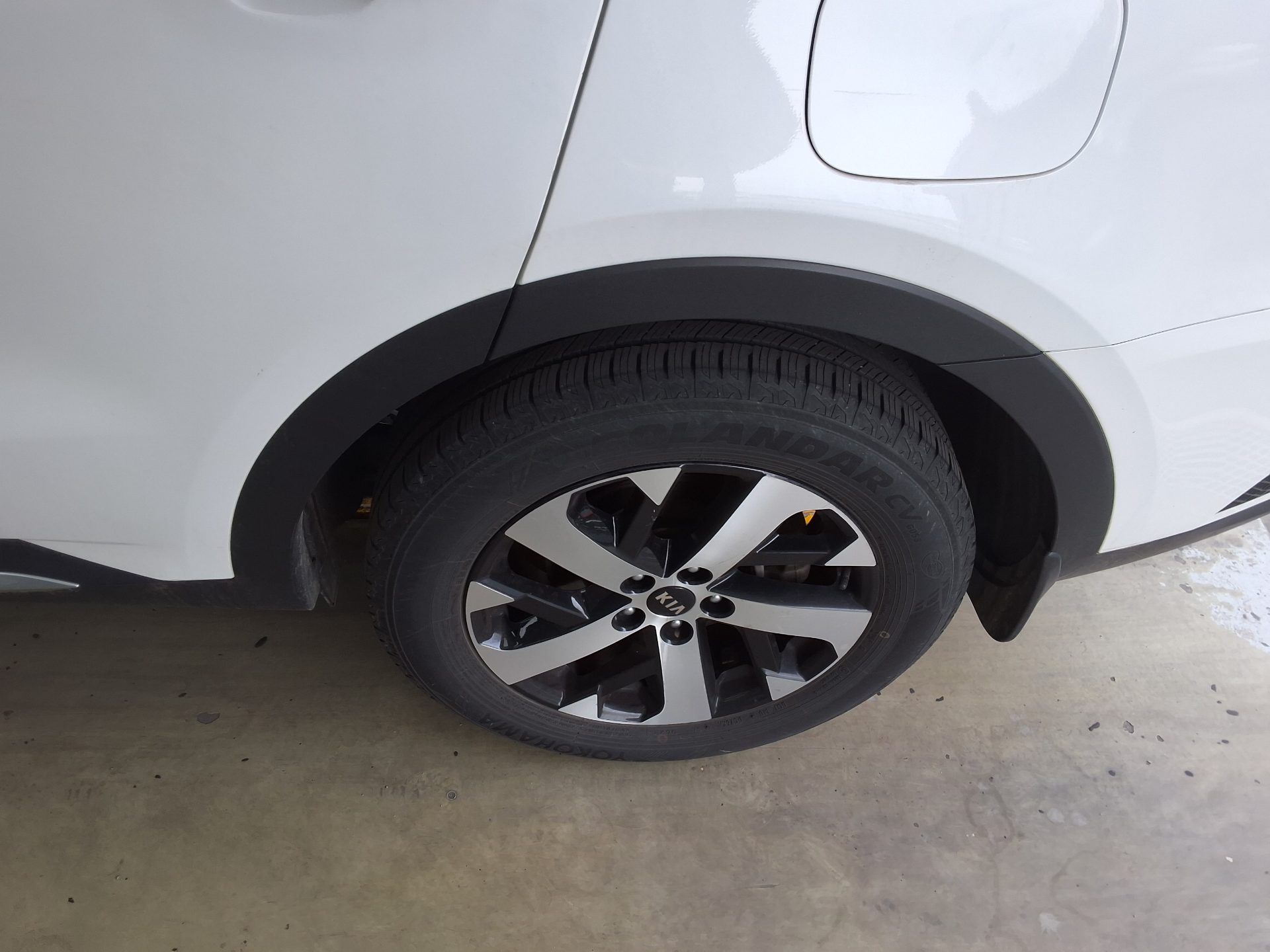 كيا أخرى 2021 - صورة 21