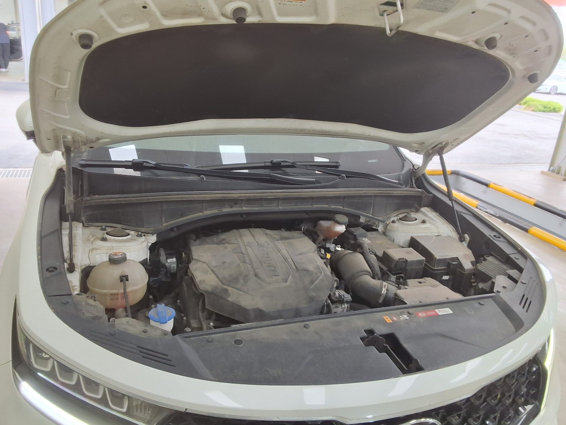 كيا أخرى 2021 - صورة 19