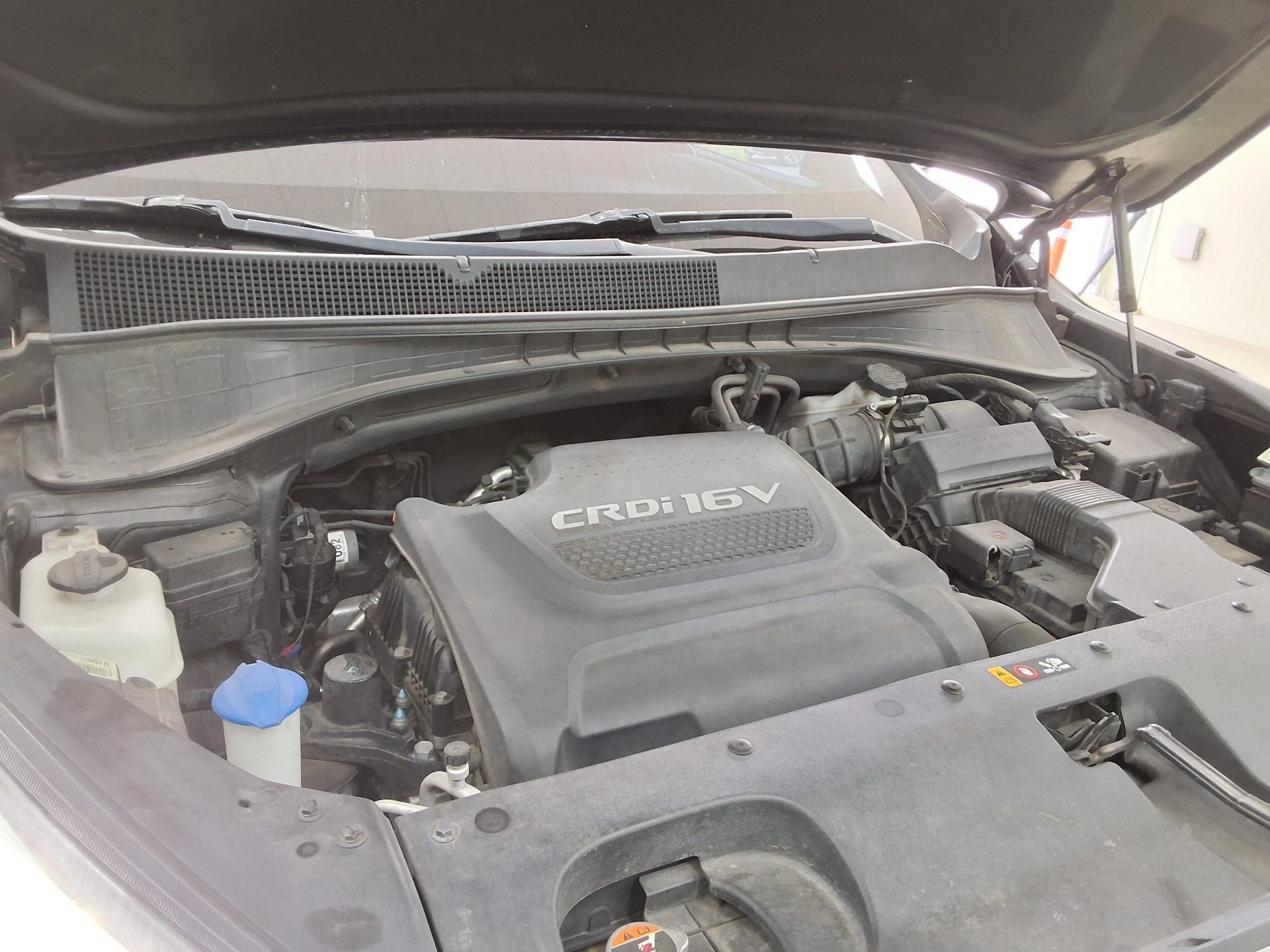 كيا أخرى 2016 - صورة 17