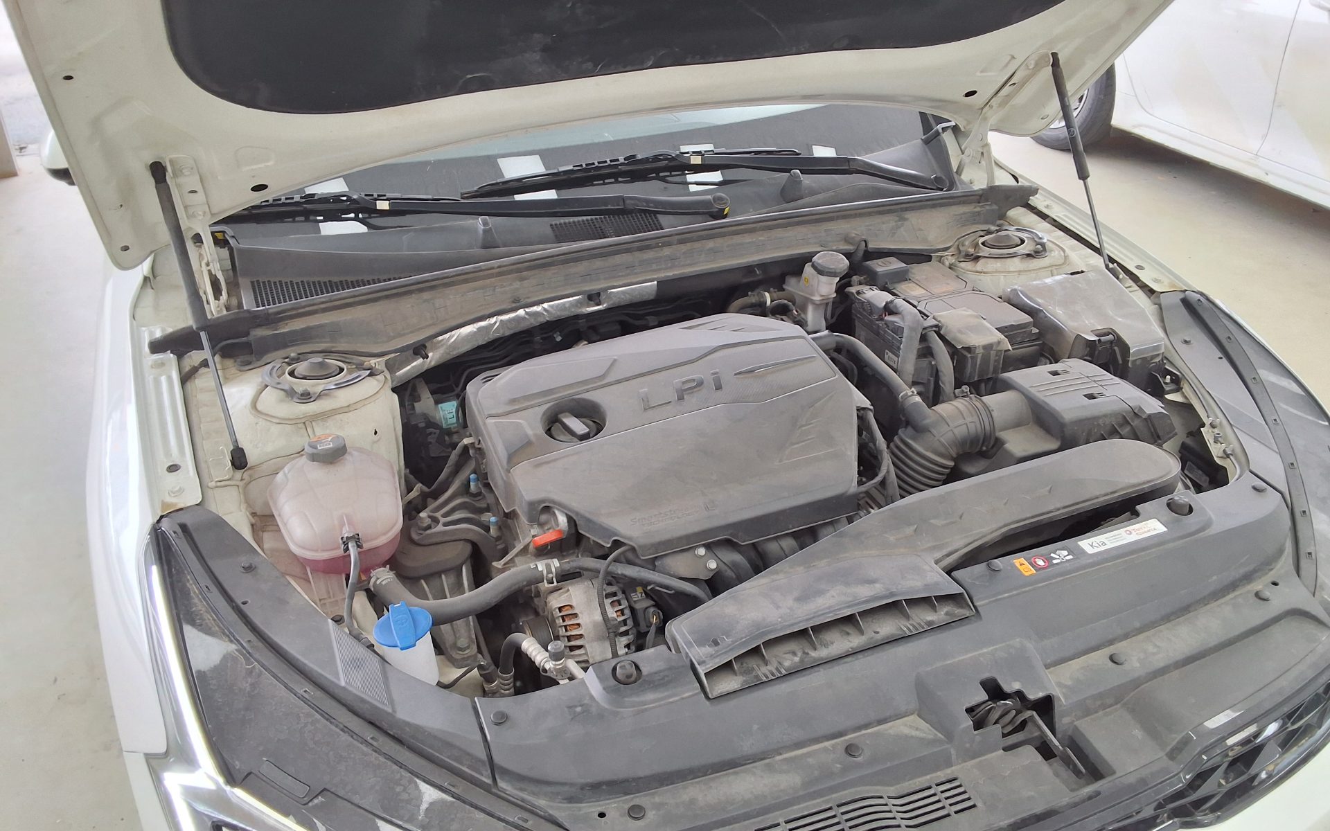 كيا K5 2024 - صورة 20