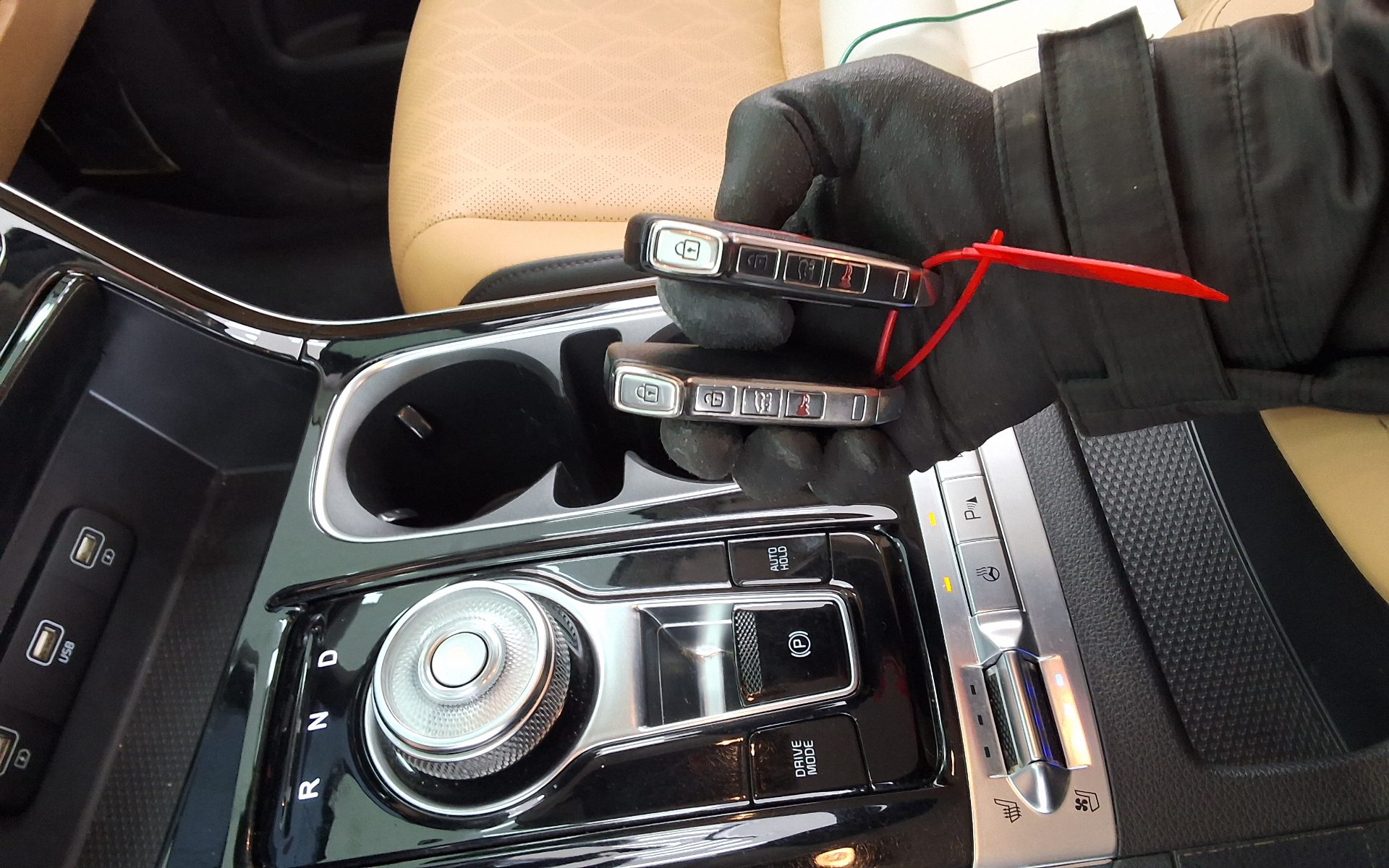 Kia Carnival - 19