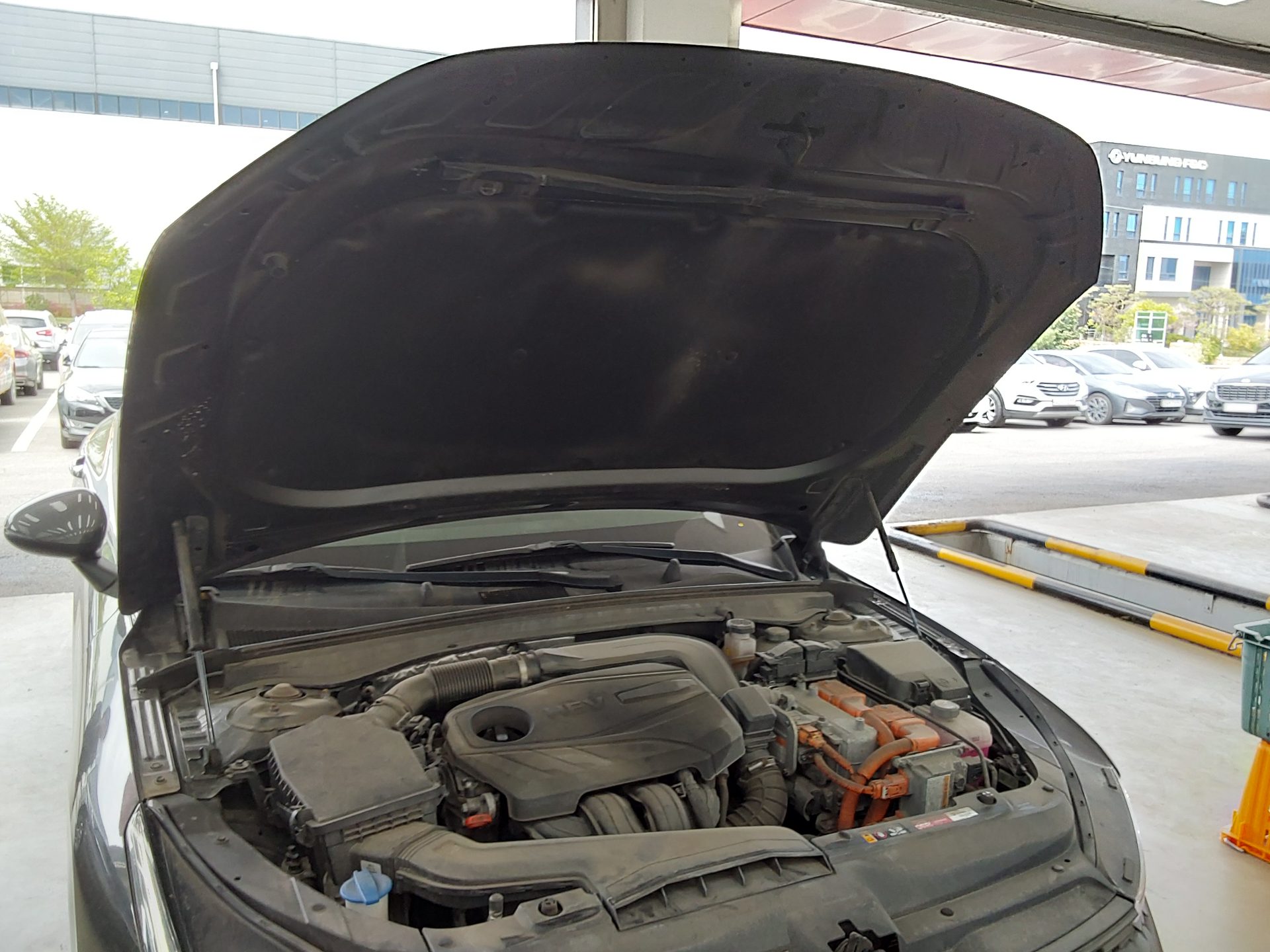 기아자동차 K5 2021 - 이미지 19