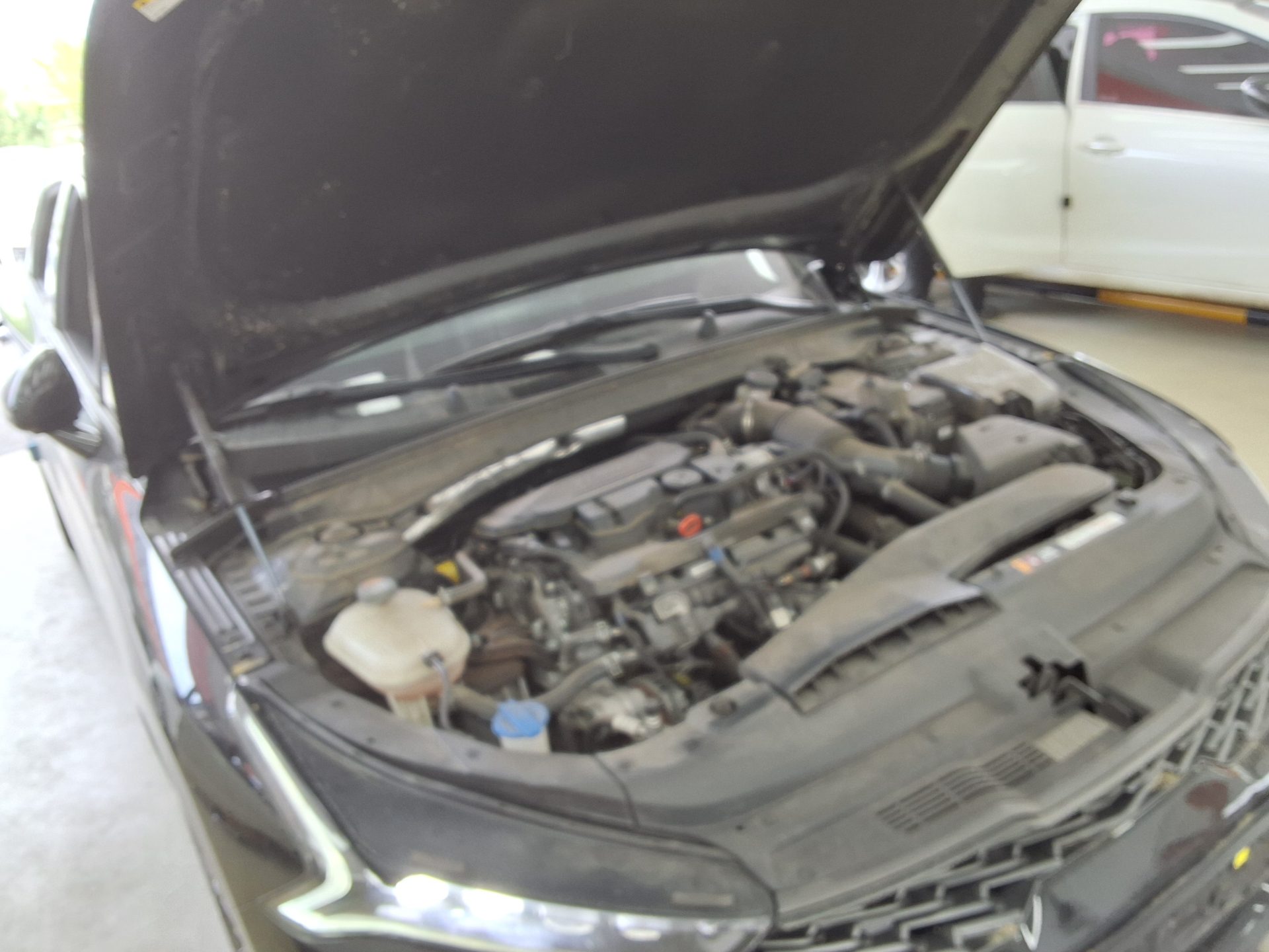 Kia K5 2022 - Image 16