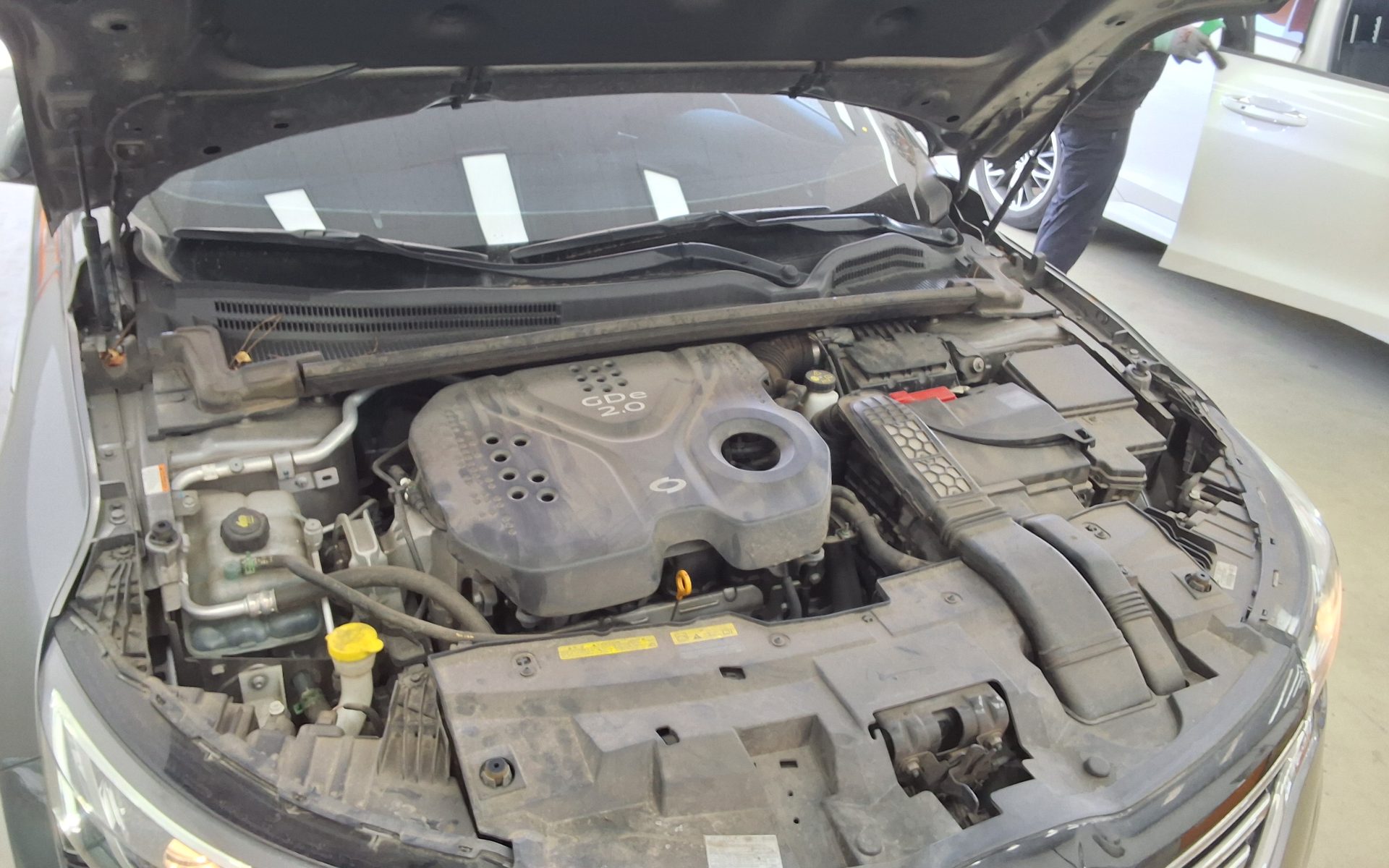 Renault Samsung SM6 2019 - Image 18